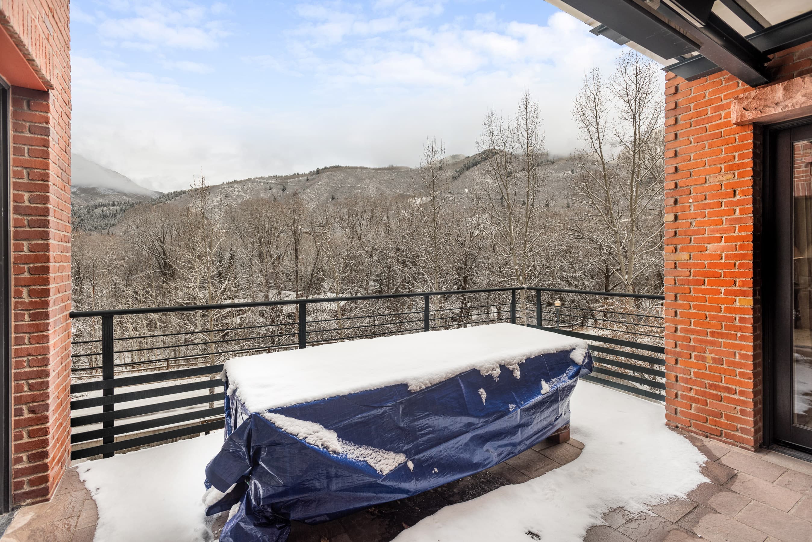 501 Rio Grande Place 201, Aspen, CO 81611 - Photo 17