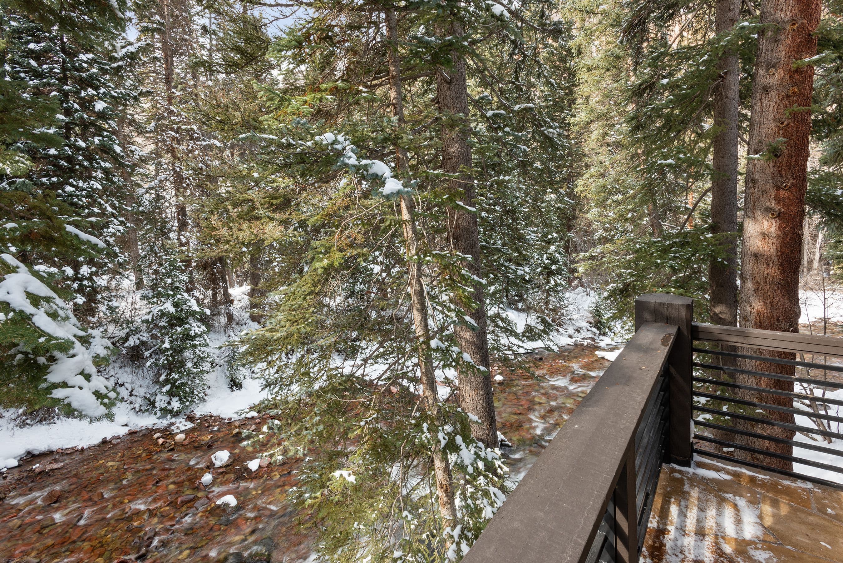 1819 Maroon Creek Road, Aspen, CO 81611 - Photo 29
