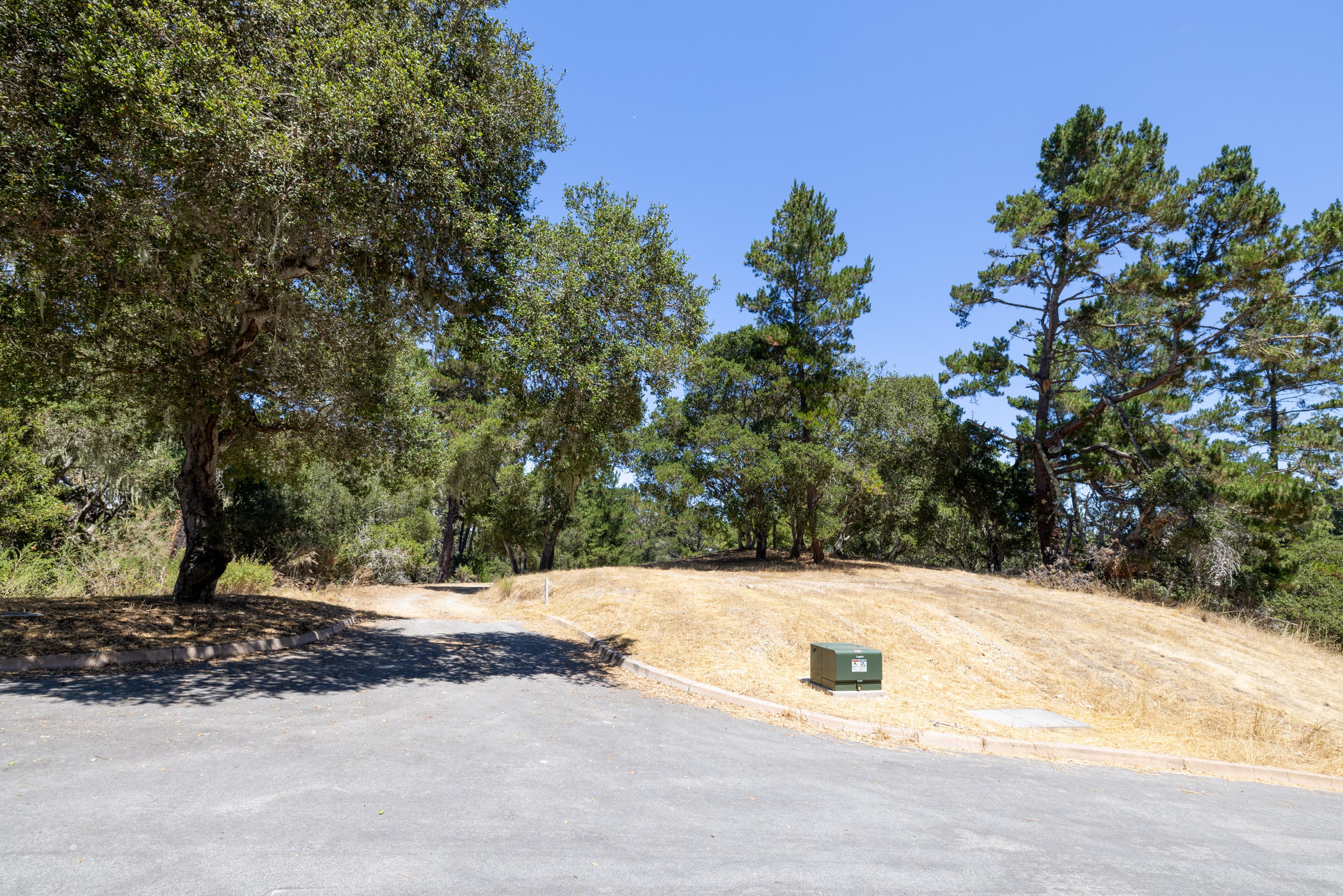 0 Paseo Venado (Lot 116) - Photo 2