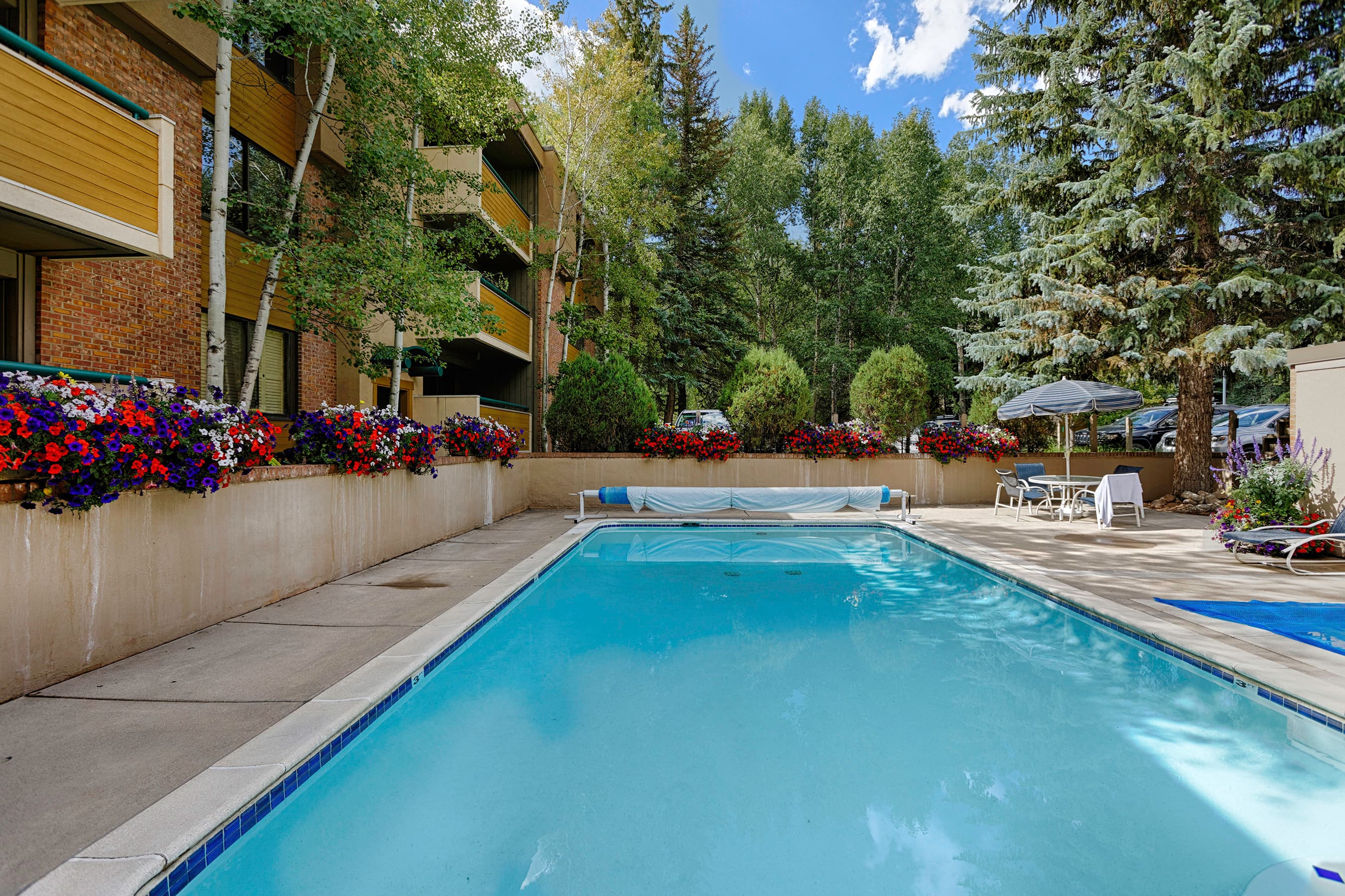 1028 E Hopkins Avenue Unit #24, Aspen, CO 81611 - Photo 9