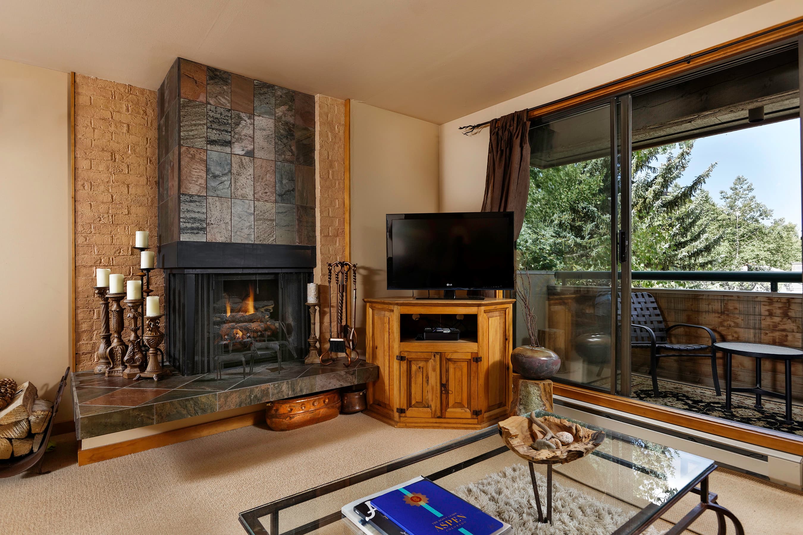 1028 E Hopkins Avenue Unit #24, Aspen, CO 81611 - Photo 3