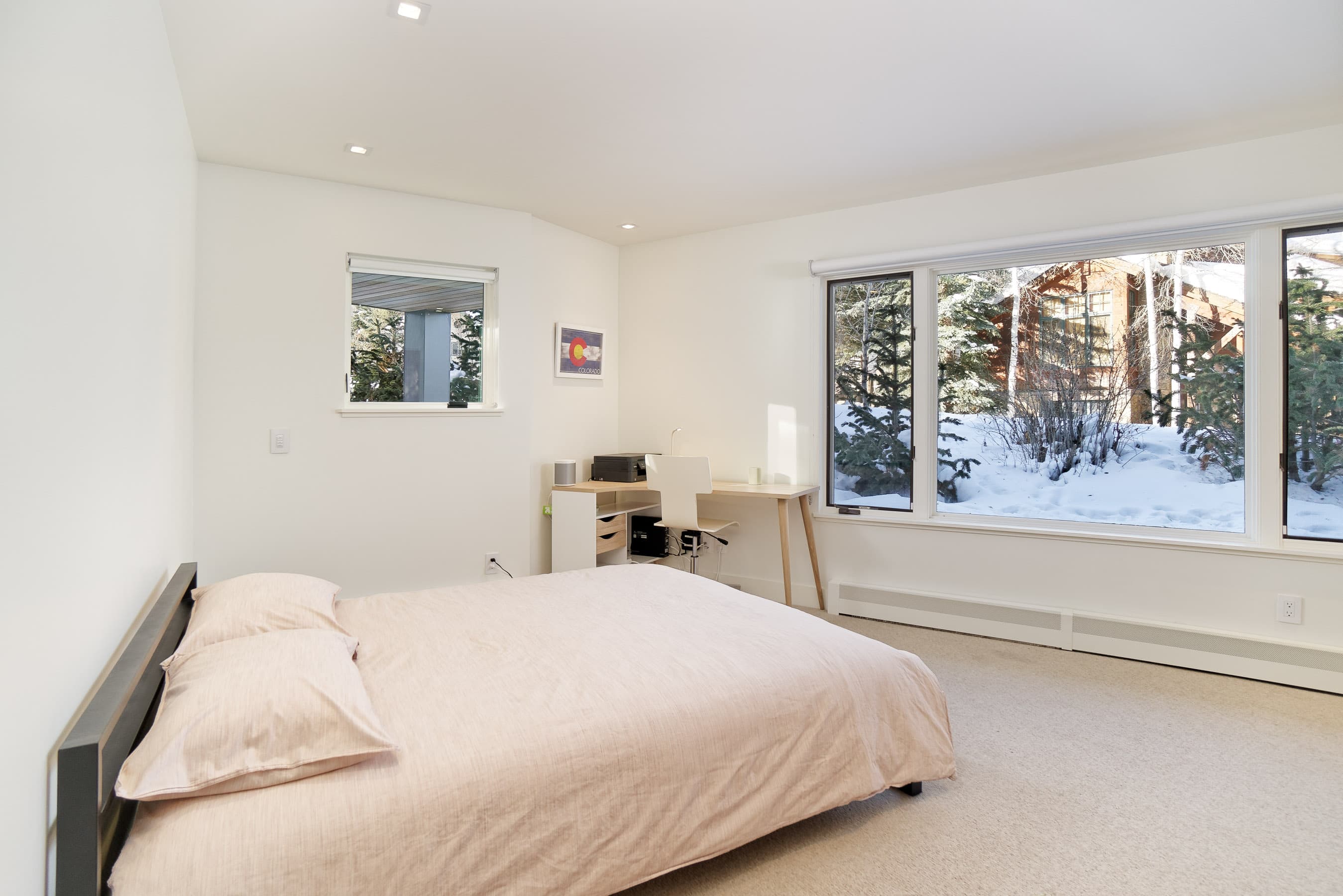 100 Park Avenue, Aspen, CO 81611 - Photo 25