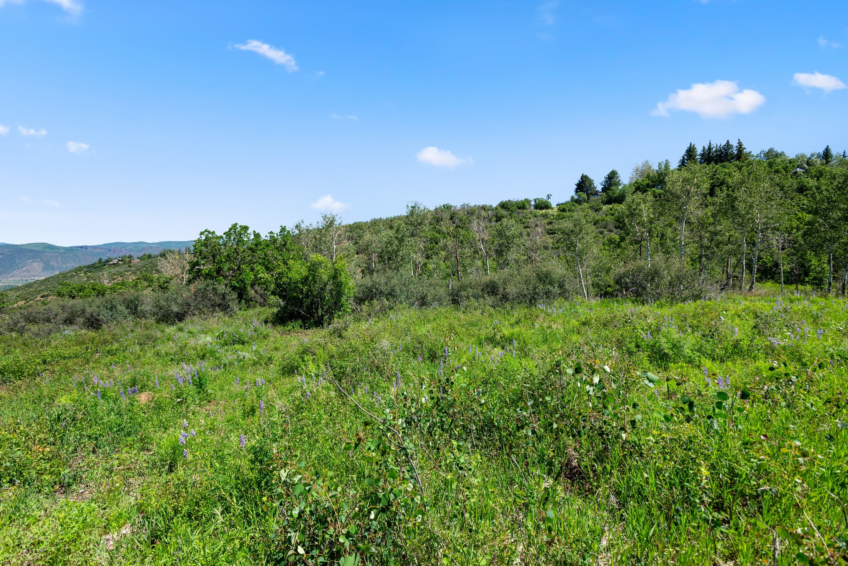 TBD Trentaz Drive, Aspen, CO 81611 - Photo 14