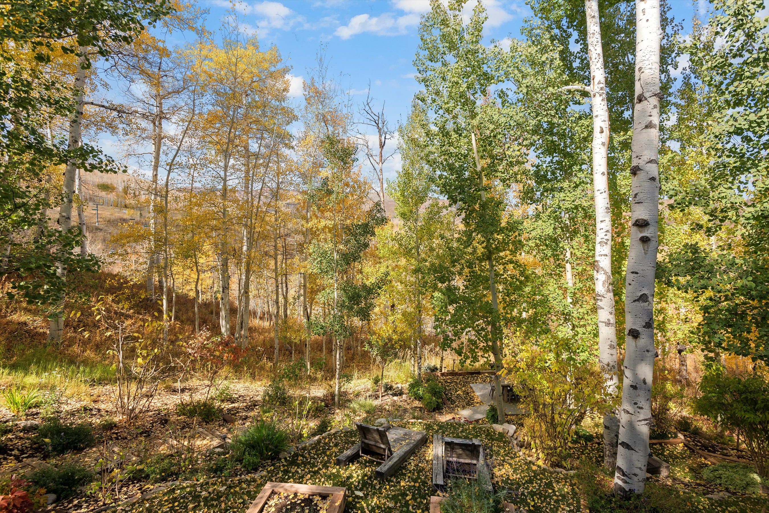 234 Bridge Lane, Snowmass Village, CO 81615 - Photo 35