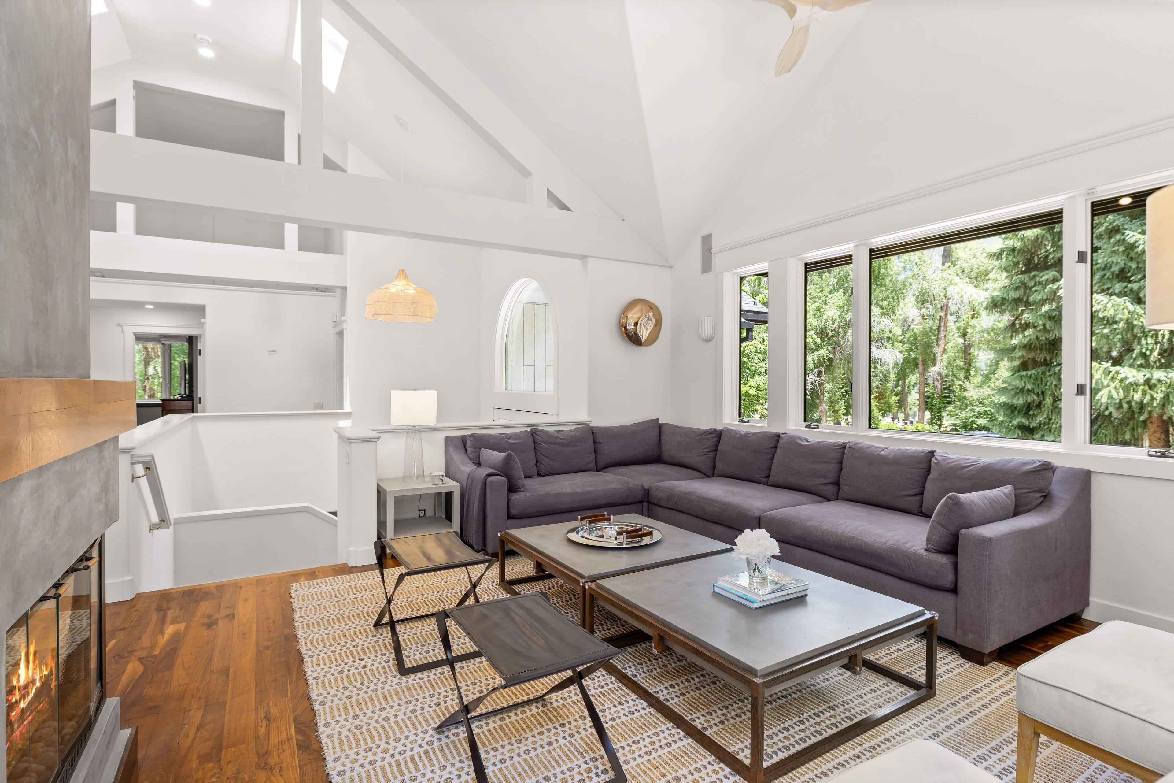 777 Castle Creek Drive, Aspen, CO 81611 - Photo 13