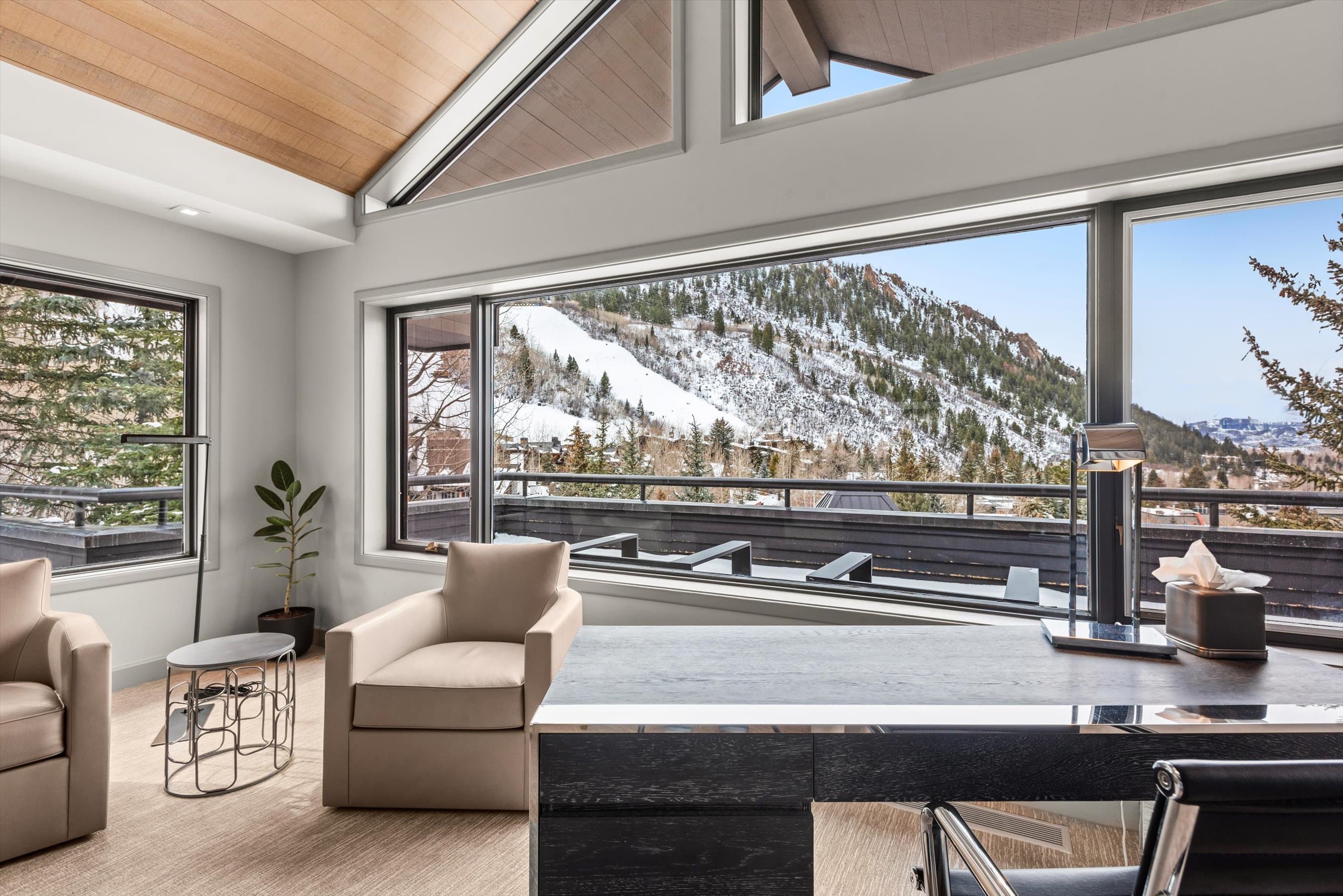 730 S Galena Street, Aspen, CO 81611 - Photo 24