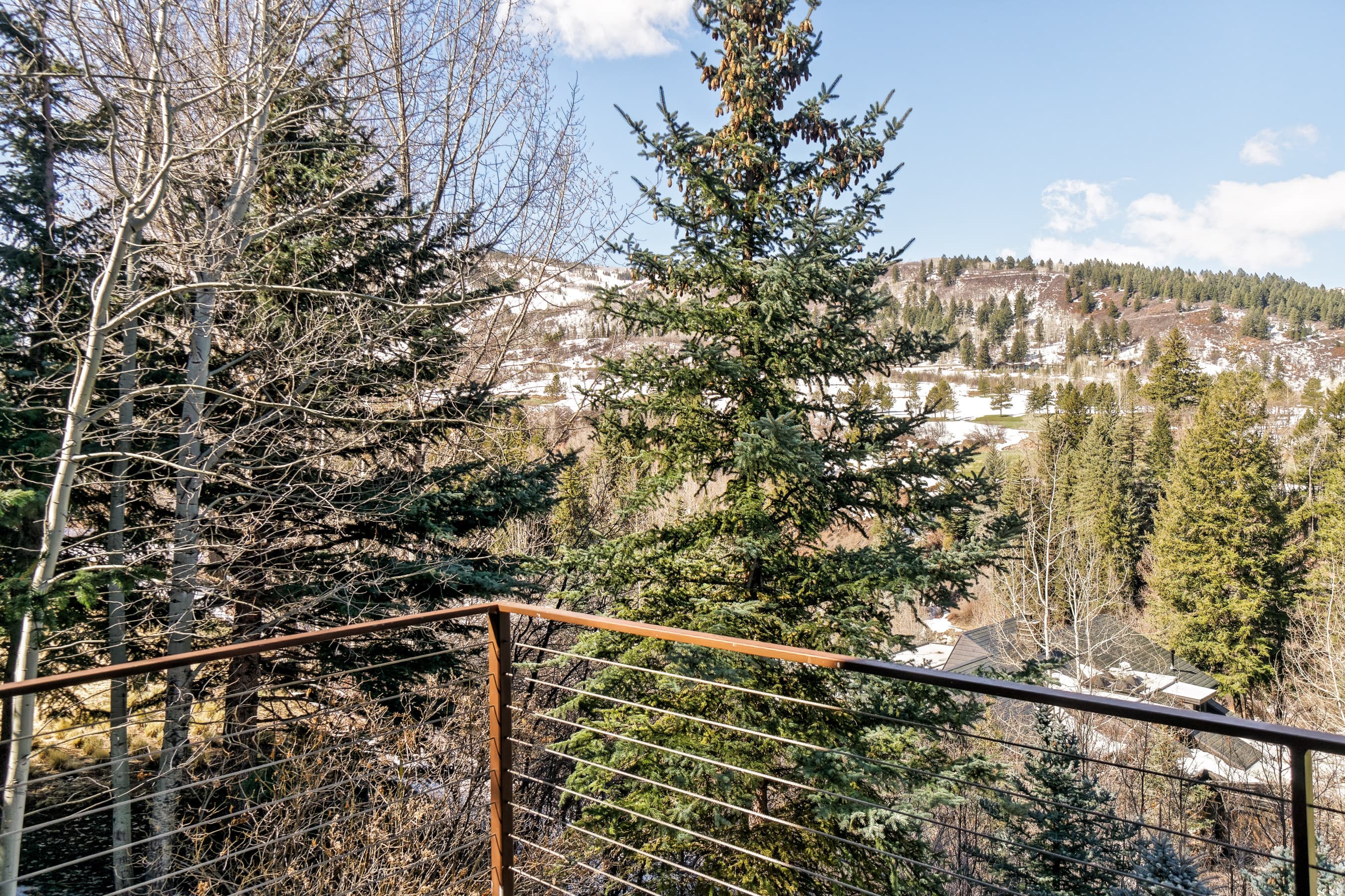 59 Maroon Drive, Aspen, CO 81611 - Photo 29