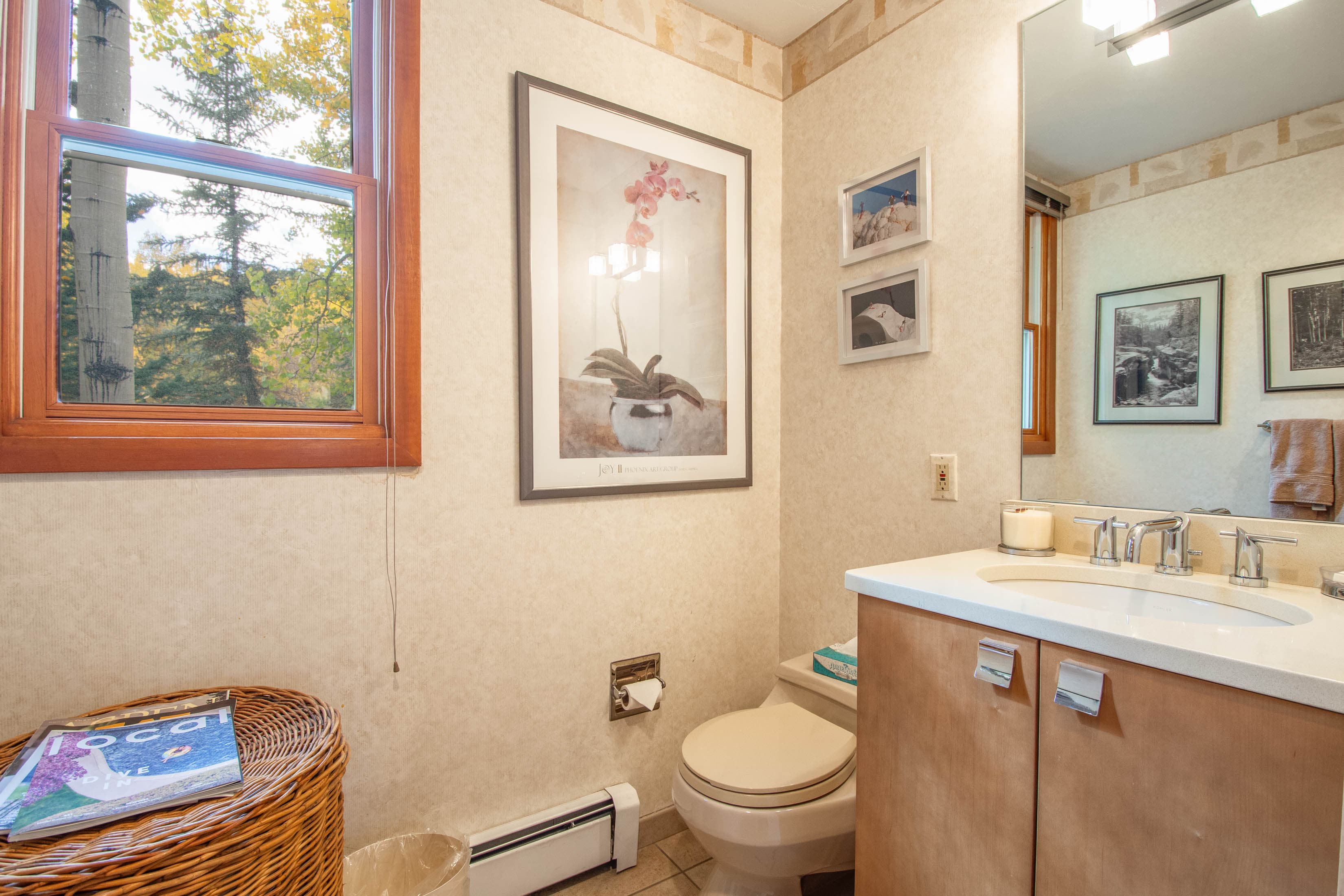425 Wood Road 10, Snowmass Village, CO 81615 - Photo 3