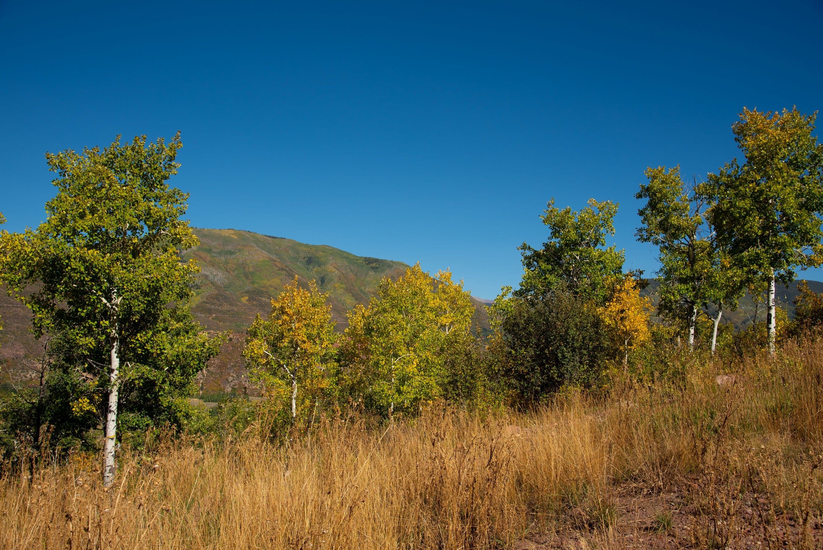 240 Buttermilk Lane, Aspen, CO 81611 - Photo 4
