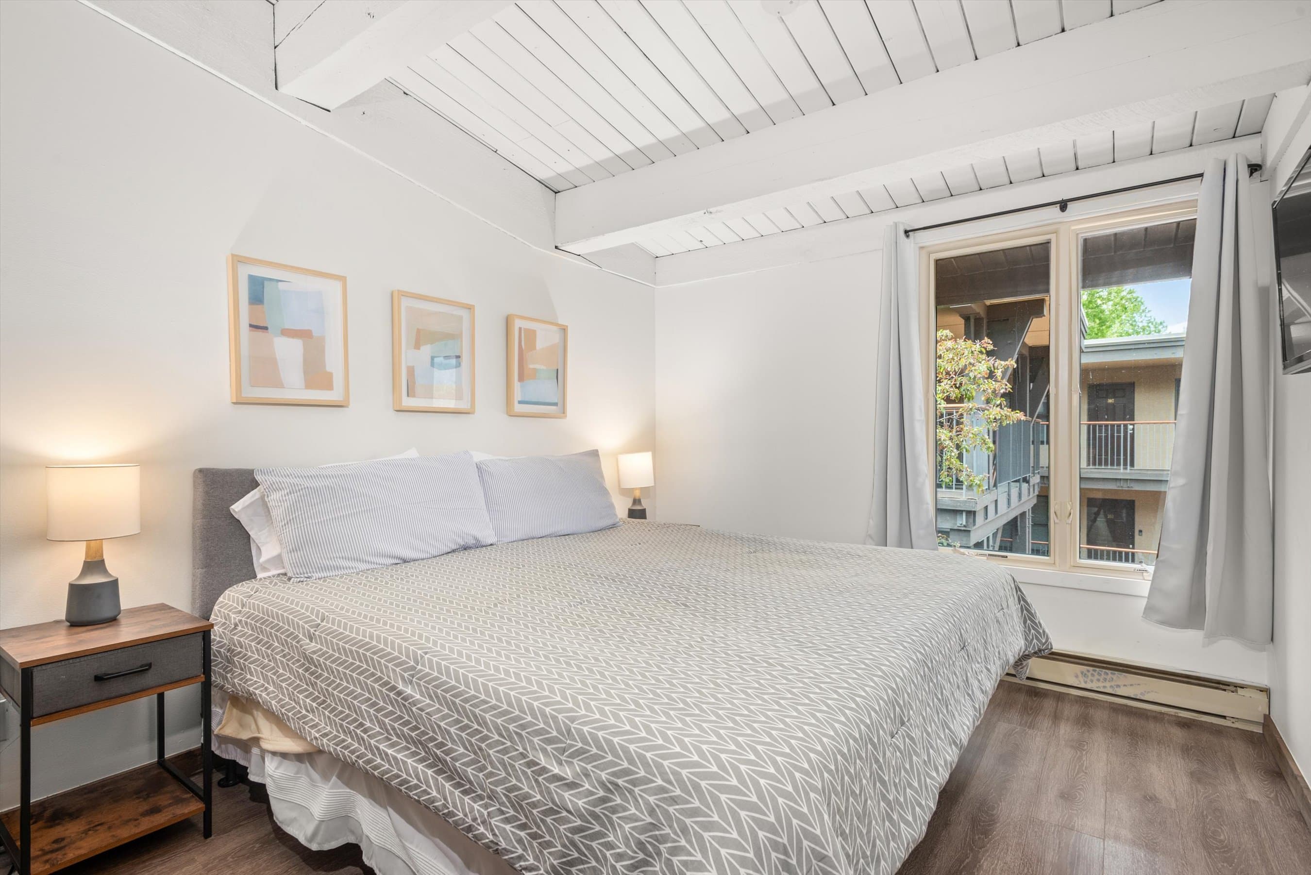 1039 E Cooper Avenue 36B, Aspen, CO 81611 - Photo 7