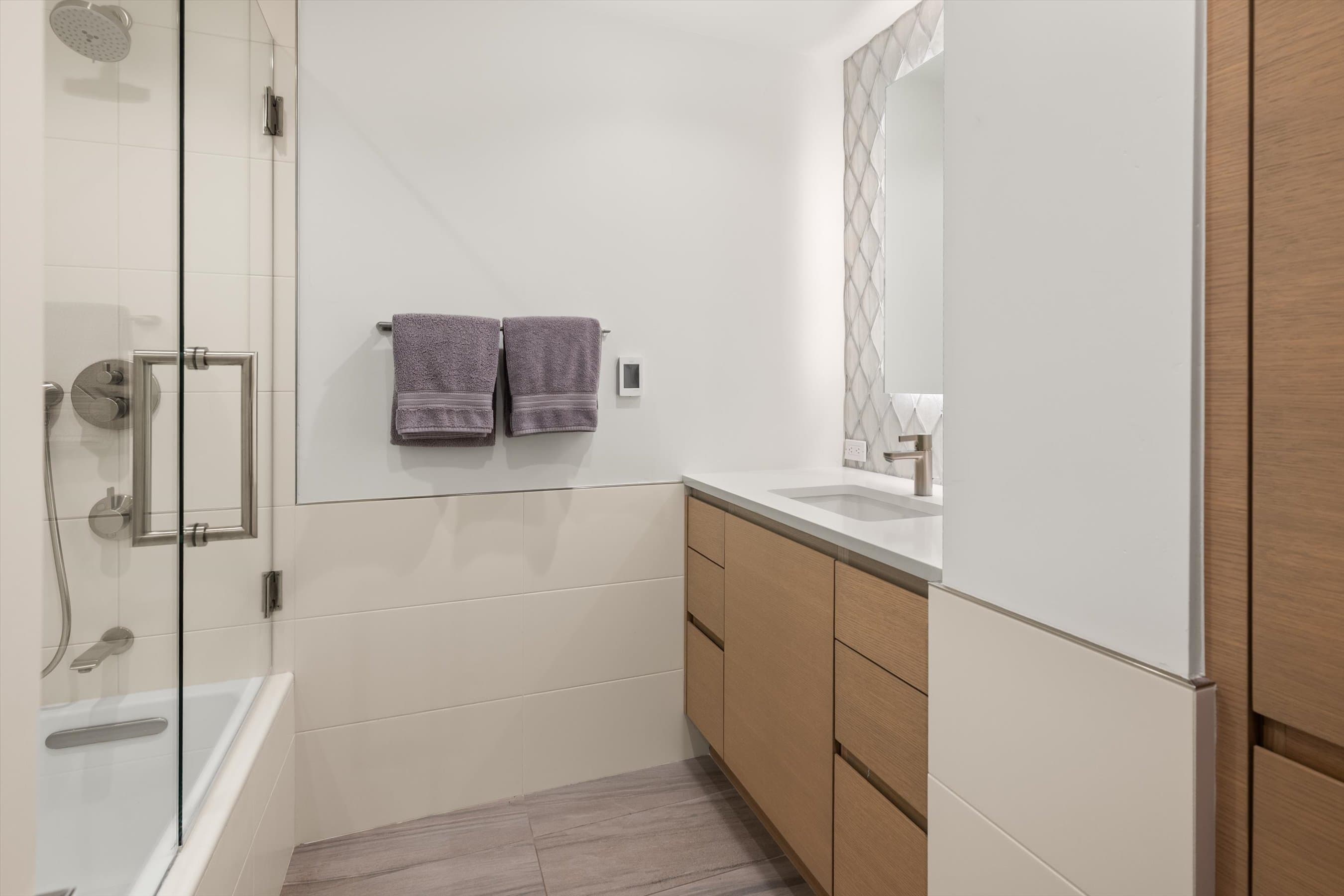 447 E Cooper Avenue 1, Aspen, CO 81611 - Photo 11