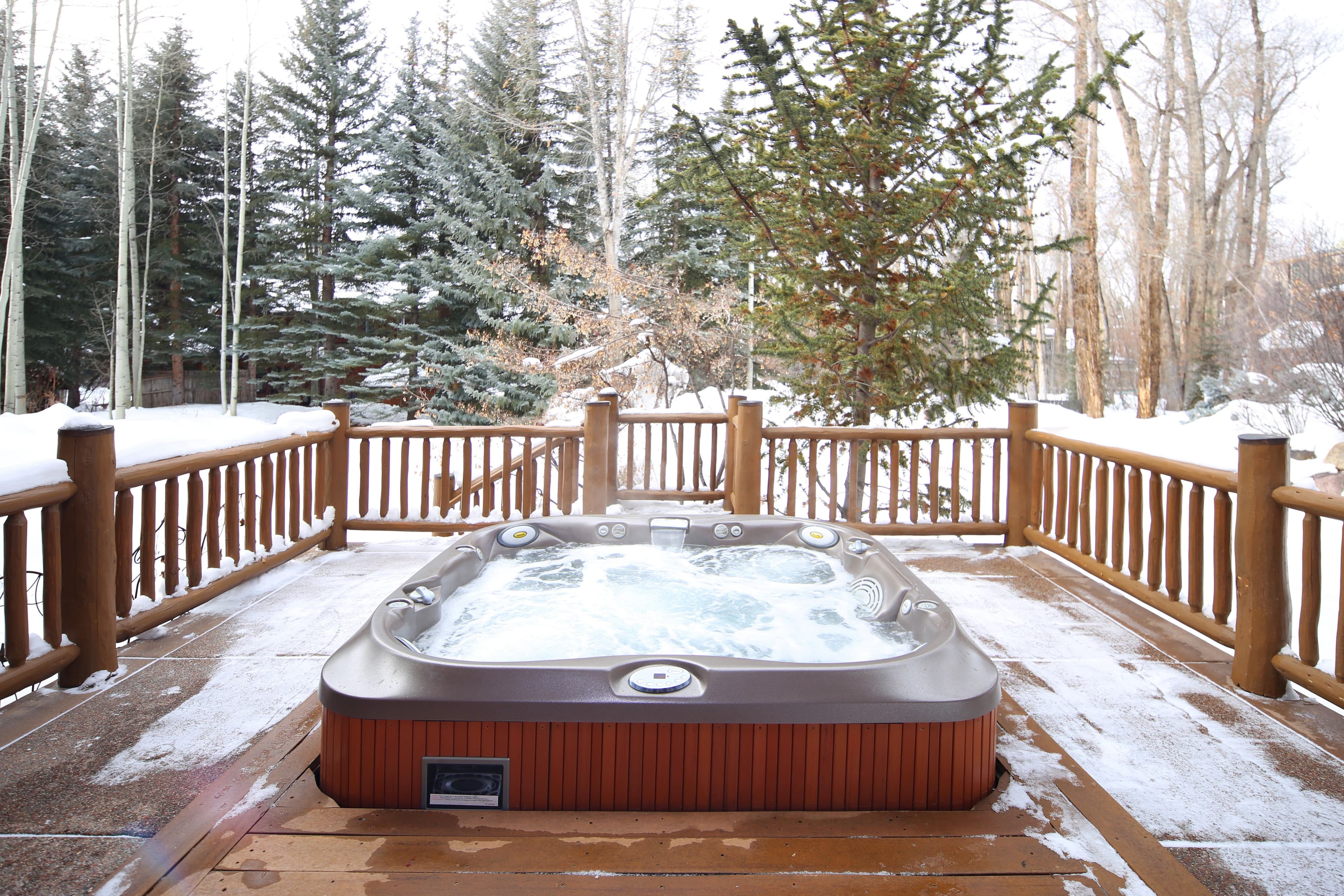 730 Bay Street, Aspen, CO 81611 - Photo 9
