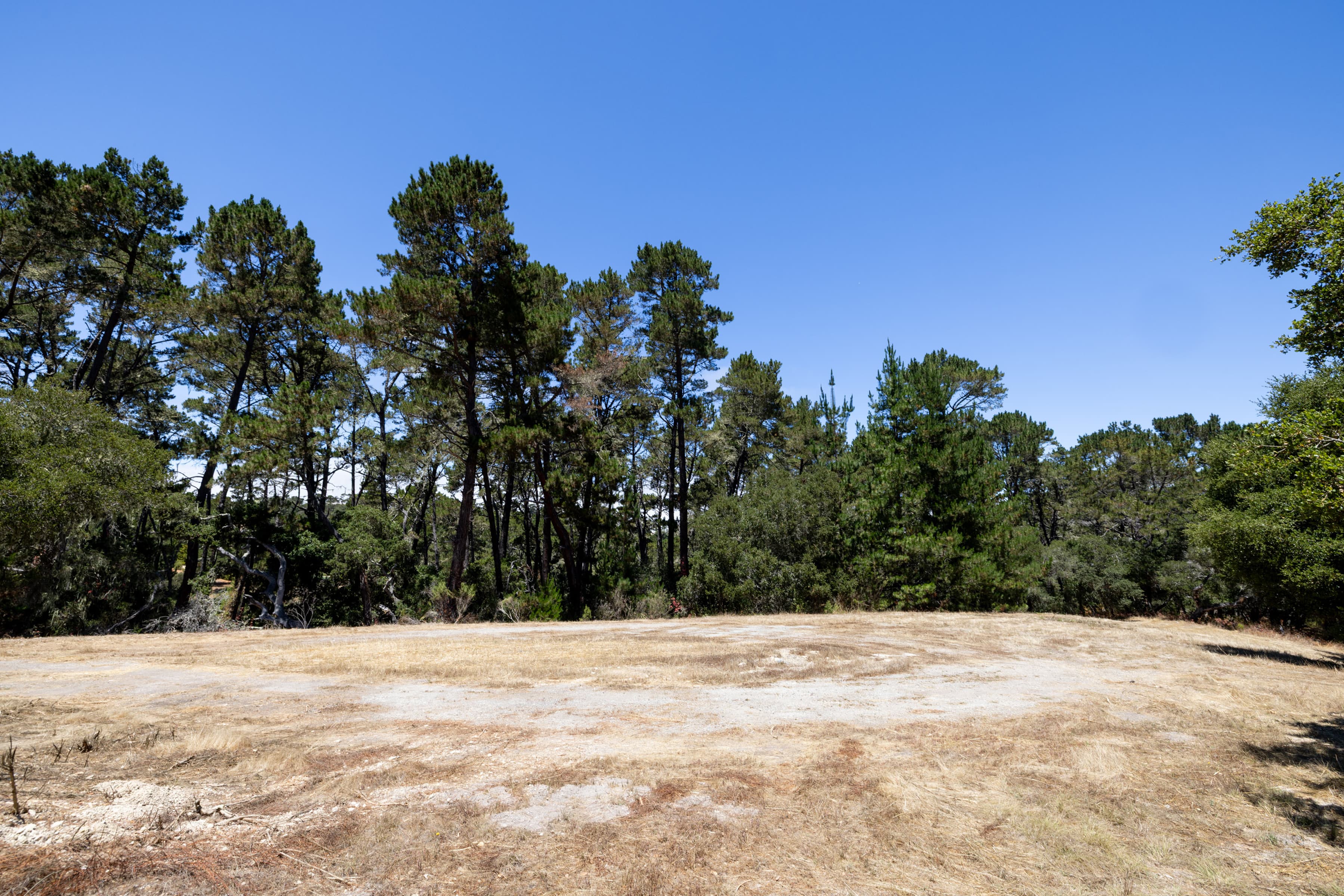 0 Paseo Venado (Lot 116) - Photo 5
