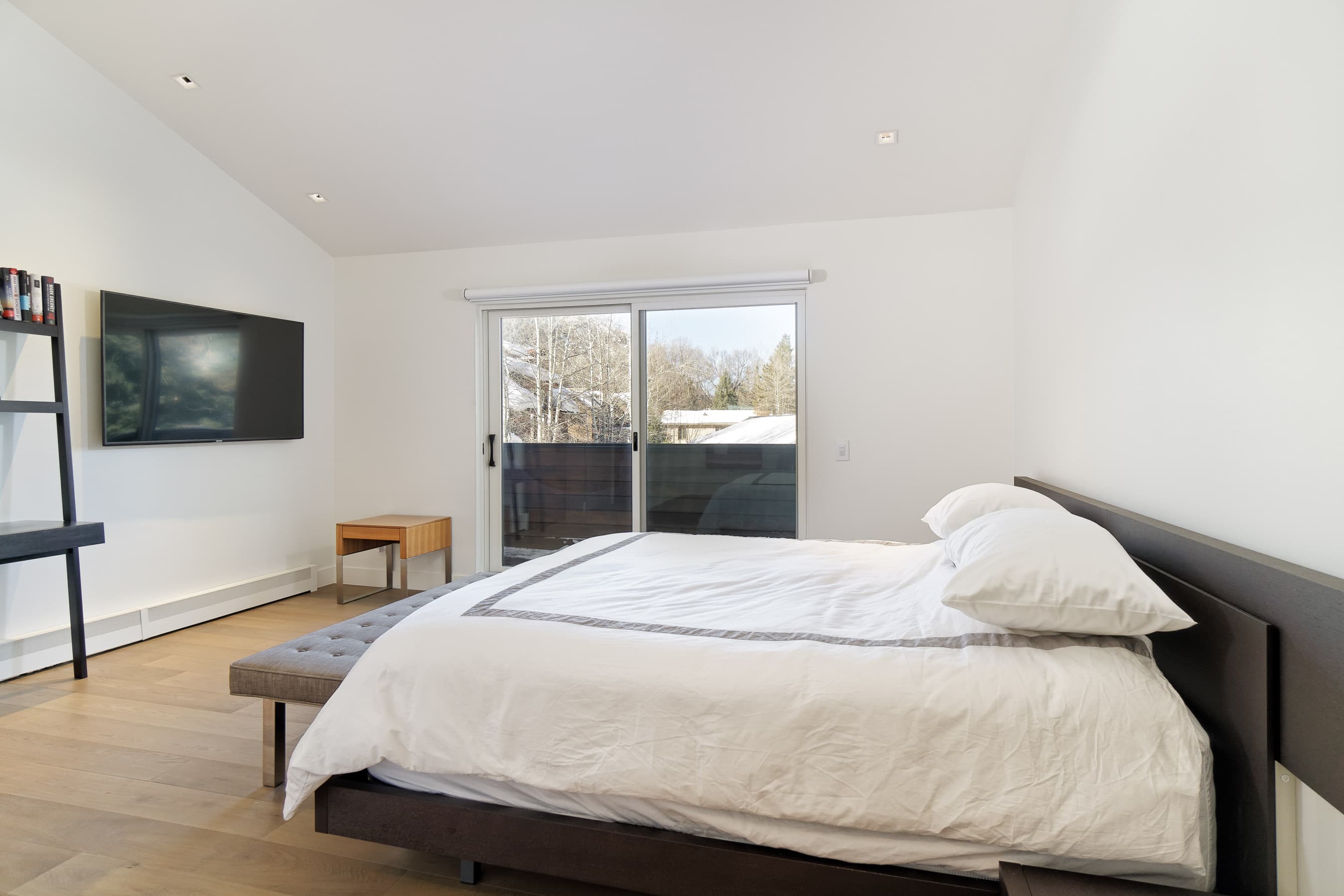 100 Park Avenue, Aspen, CO 81611 - Photo 21