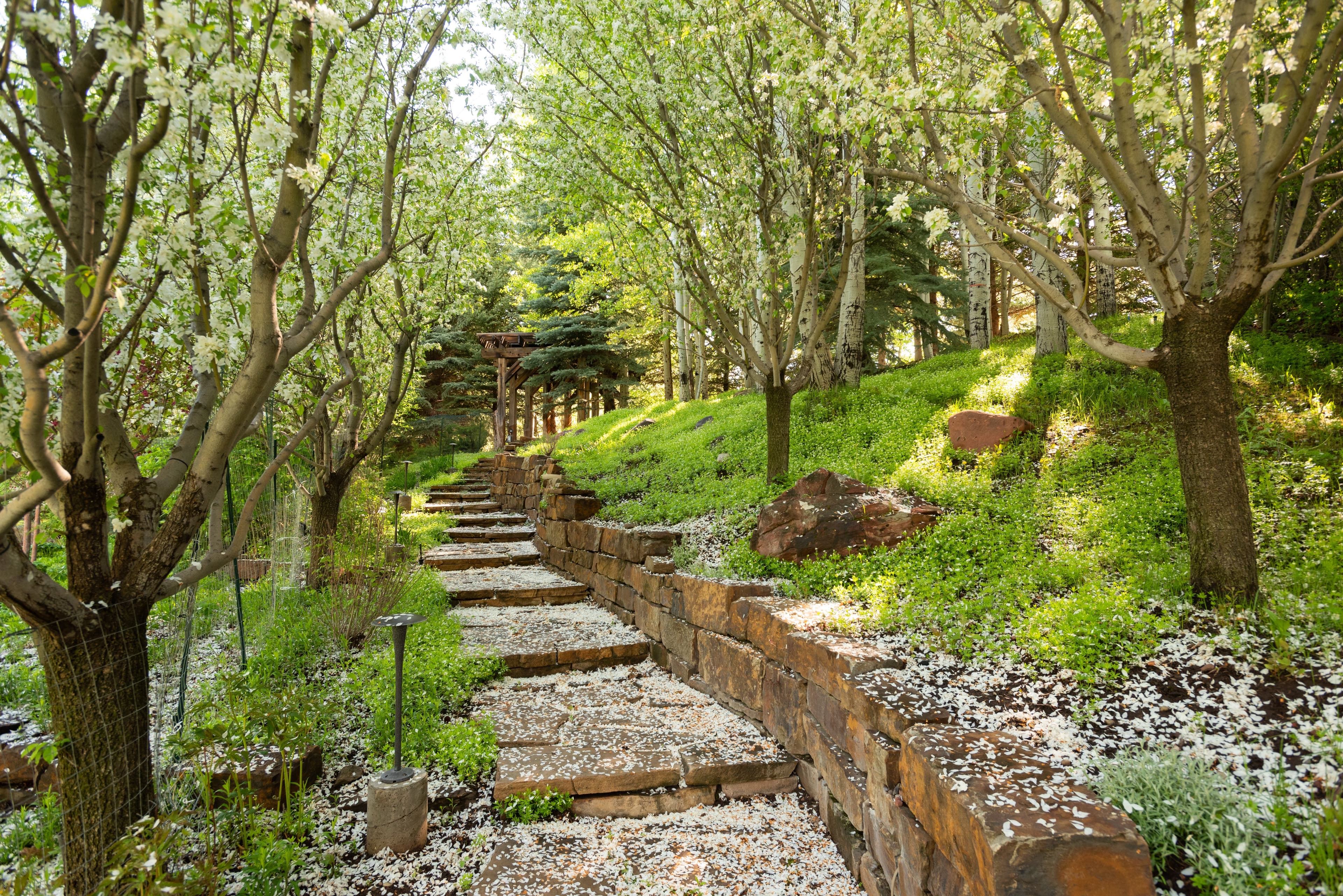 73 Hideaway Lane, Aspen, CO 81611 - Photo 34
