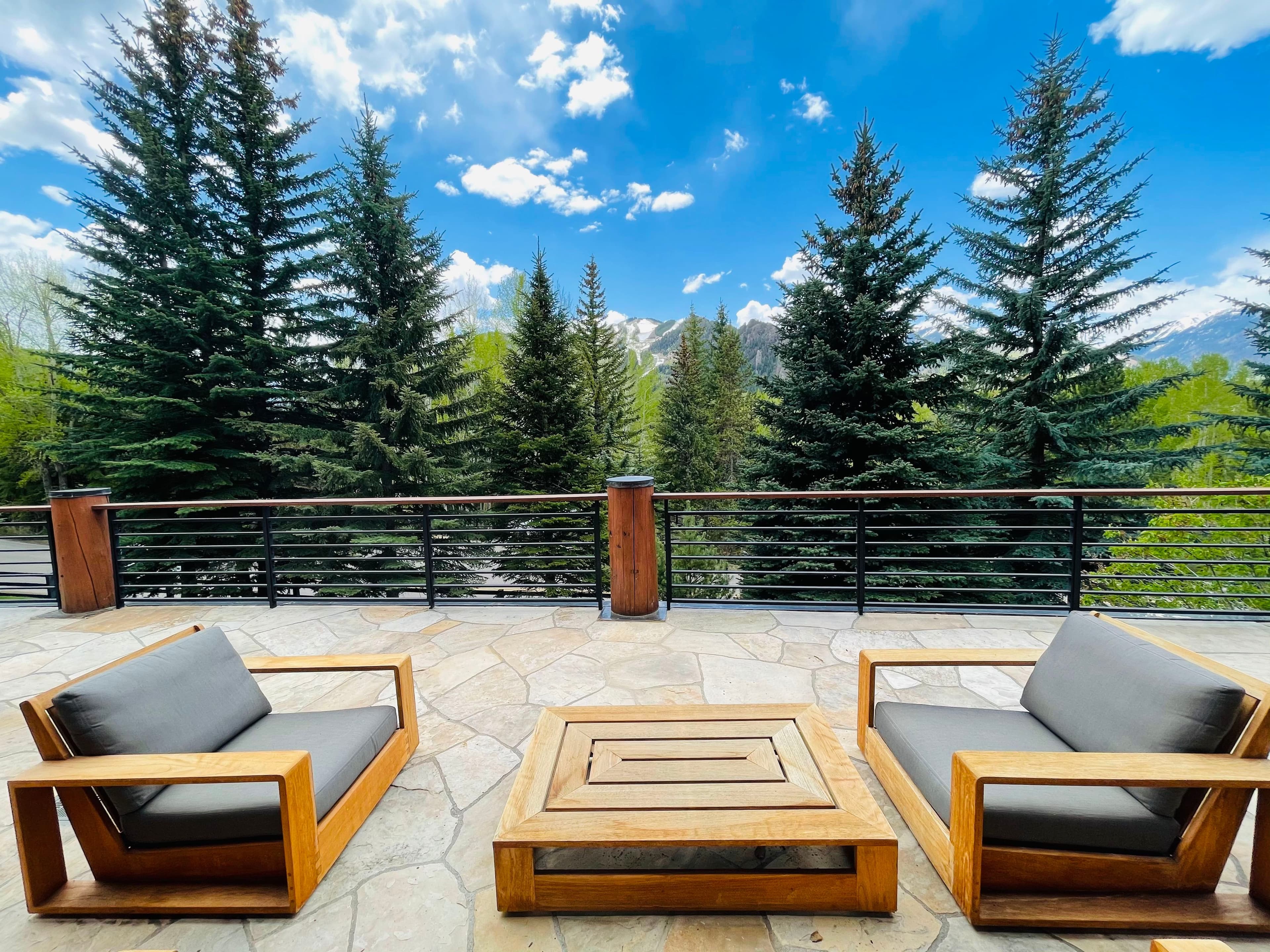 411 Willoughby Way, Aspen, CO 81611 - Photo 6