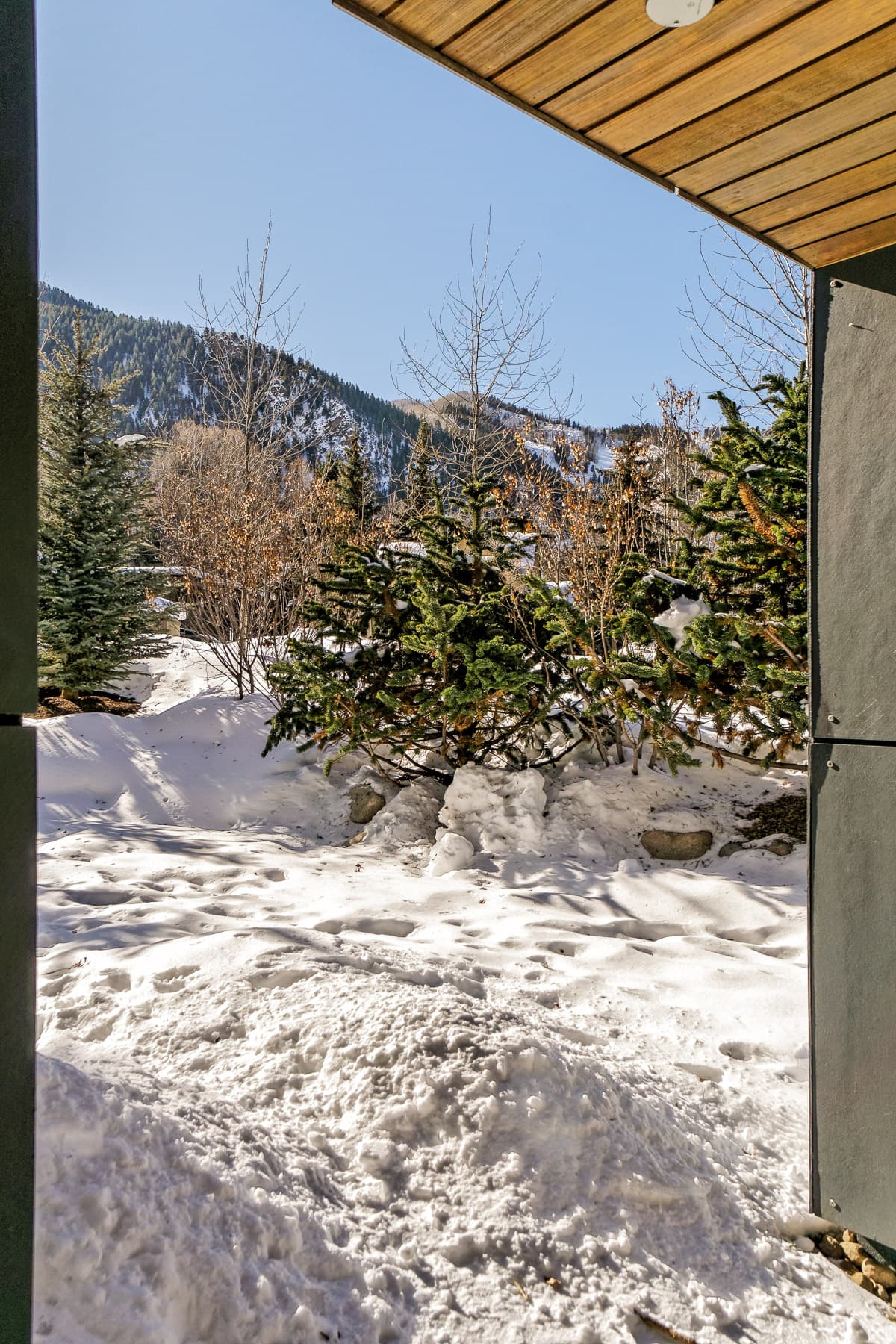 100 Park Avenue, Aspen, CO 81611 - Photo 17