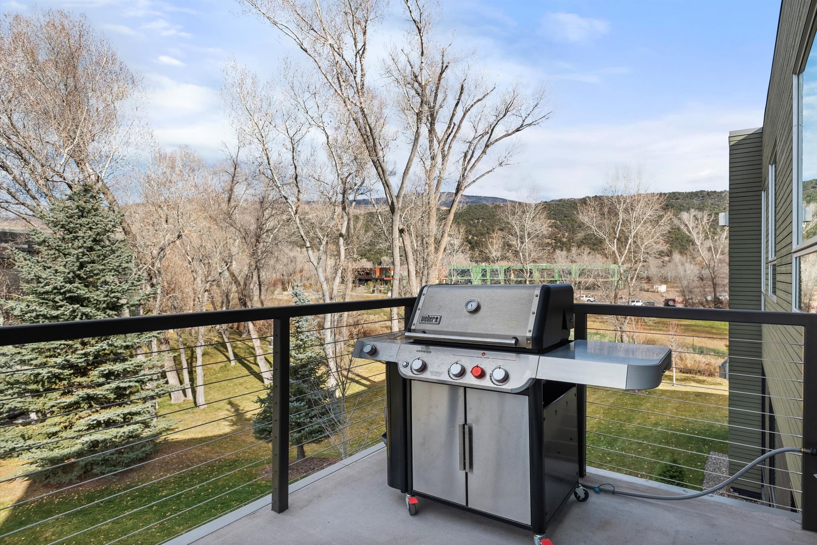 103 Willits Way 204, Basalt, CO 81621 - Photo 21