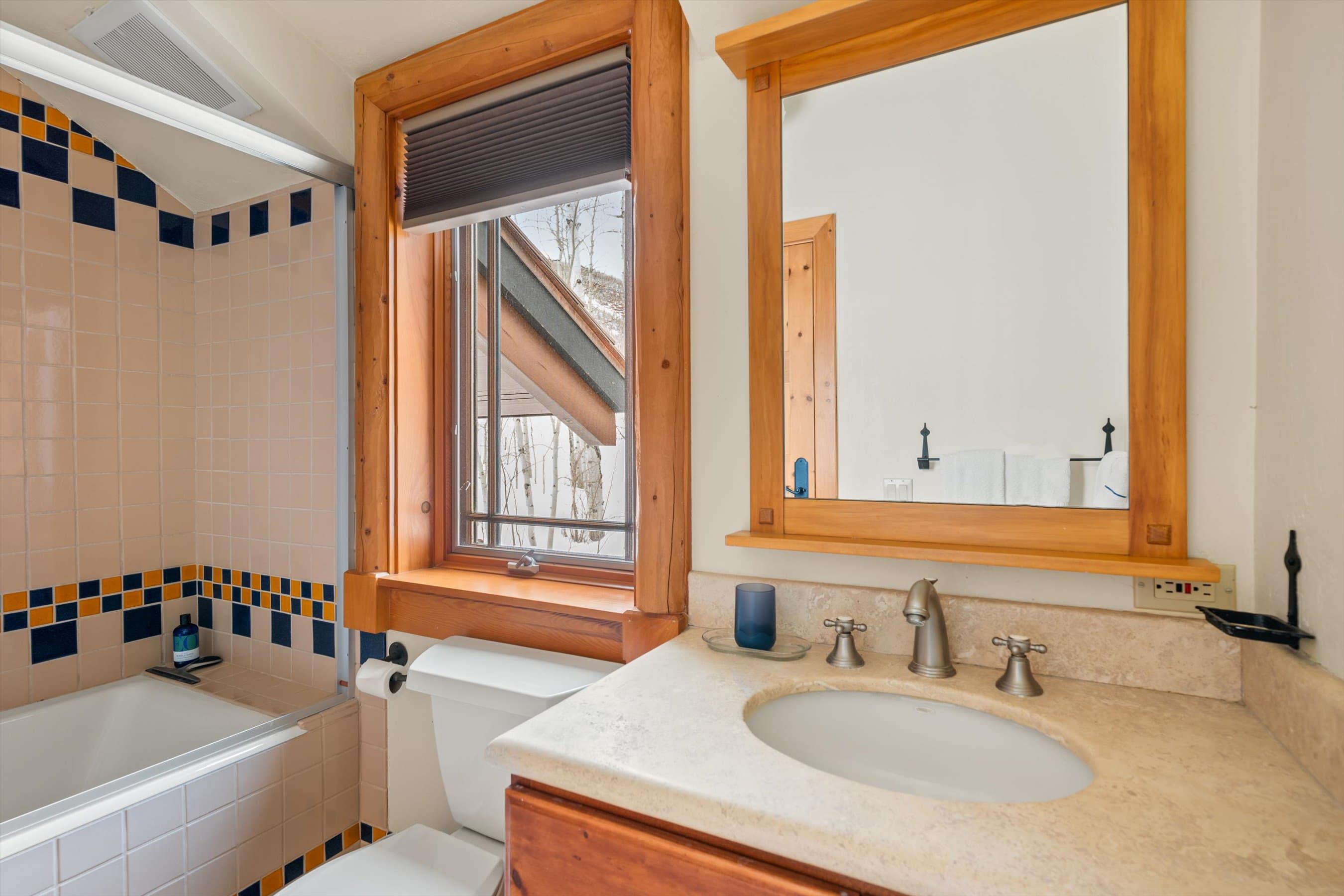 195 N Hayden Road, Aspen, CO 81611 - Photo 24