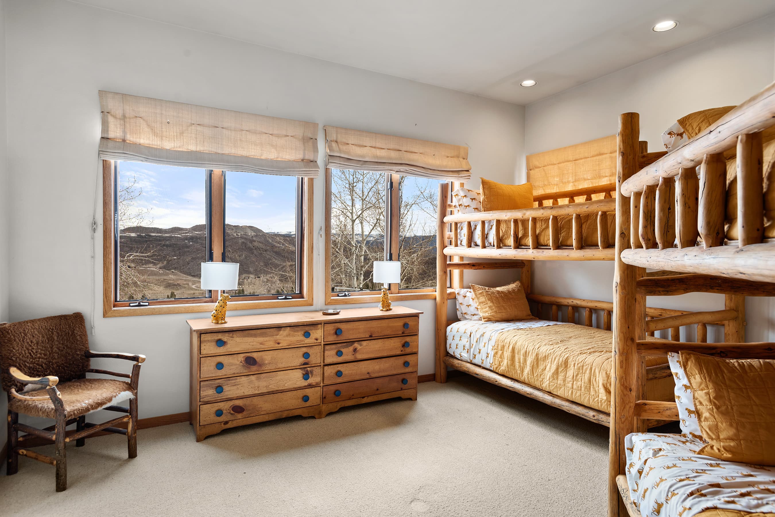 124 Fox Lane, Snowmass Village, CO 81615 - Photo 9