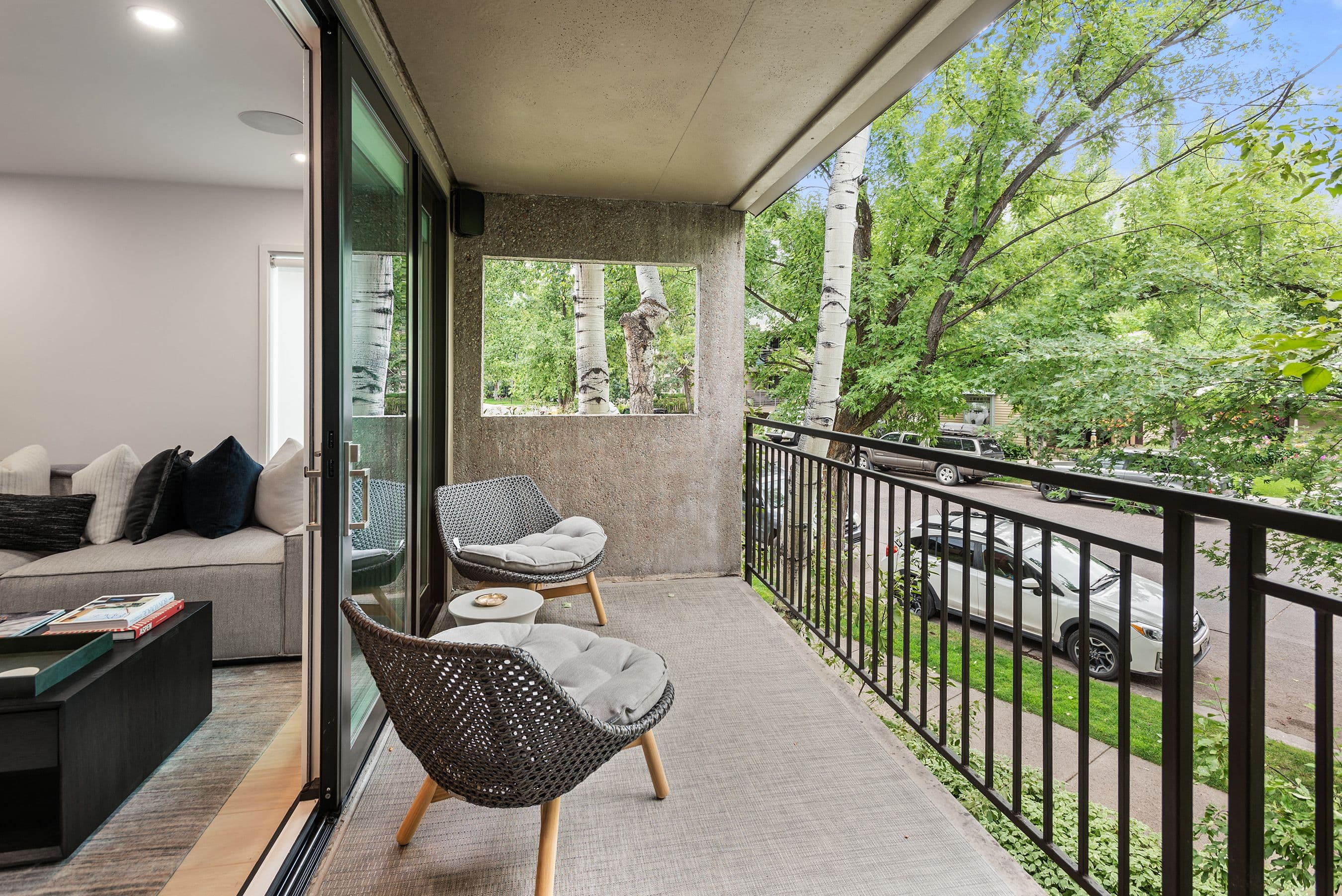 800 E Hopkins Avenue B5, Aspen, CO 81611 - Photo 21