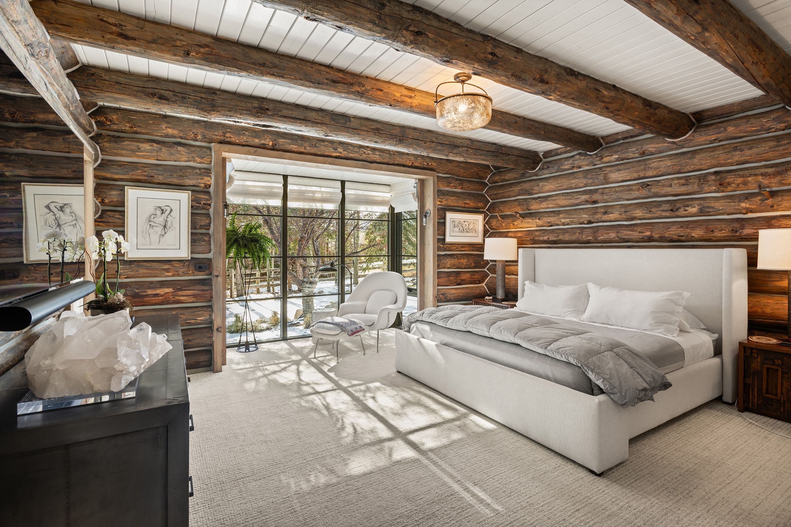 103 Alexander Avenue, Snowmass, CO 81654 - Photo 8