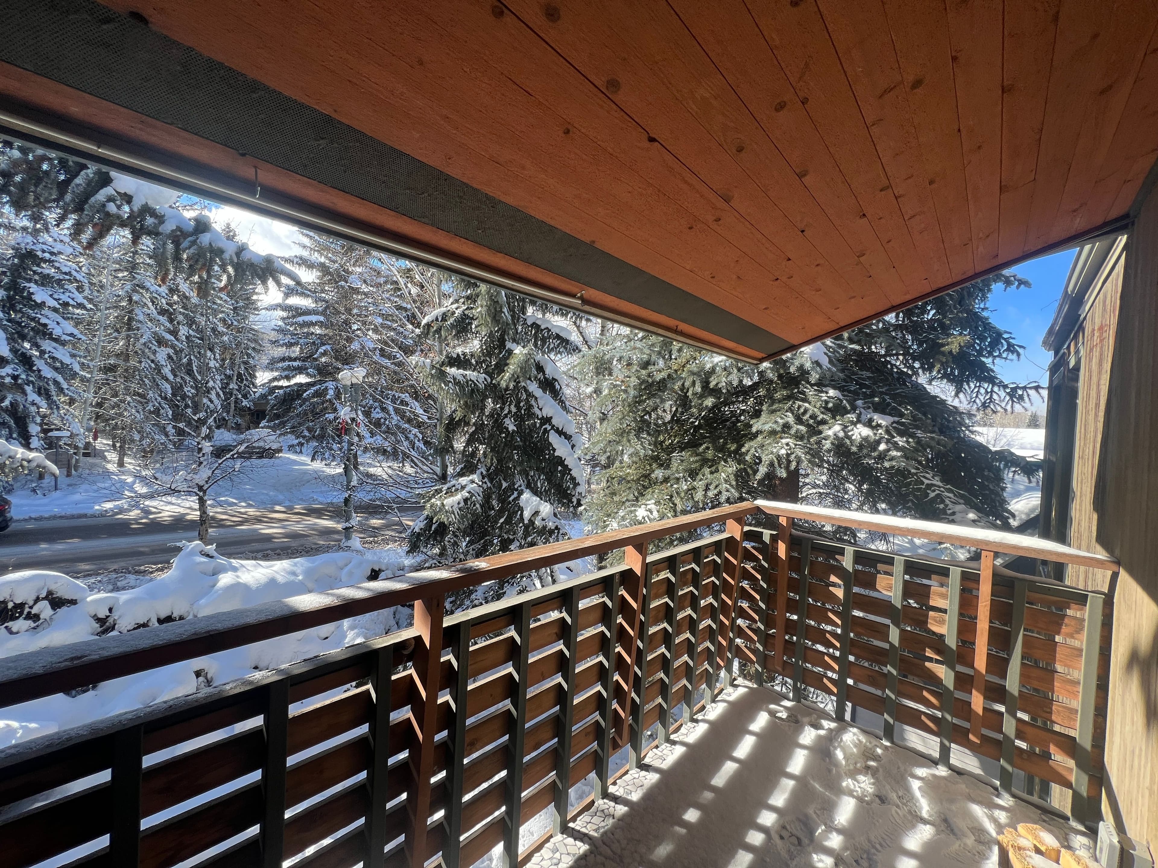 910 W Hallam Street 12, Aspen, CO 81611 - Photo 21