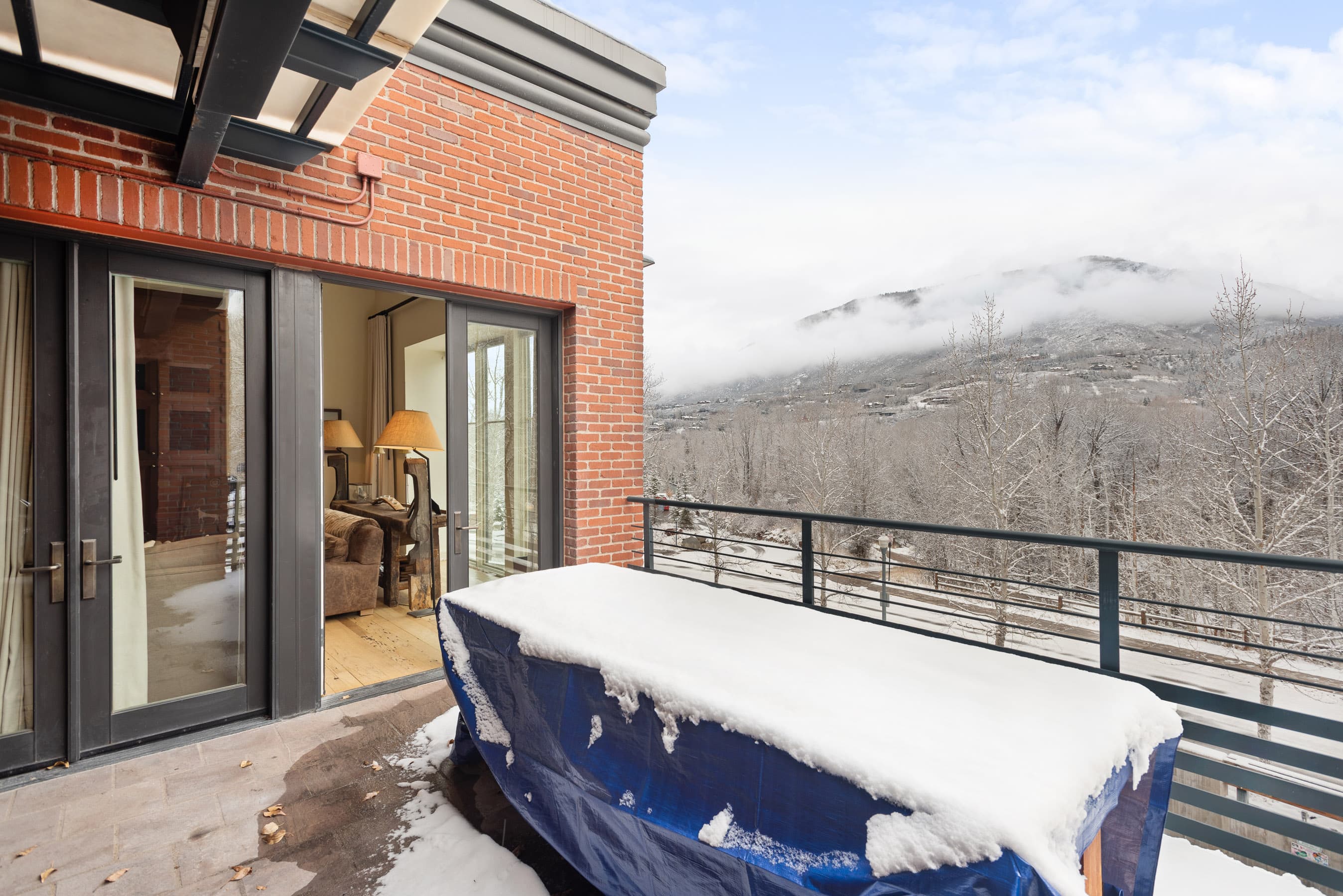 501 Rio Grande Place 201, Aspen, CO 81611 - Photo 12