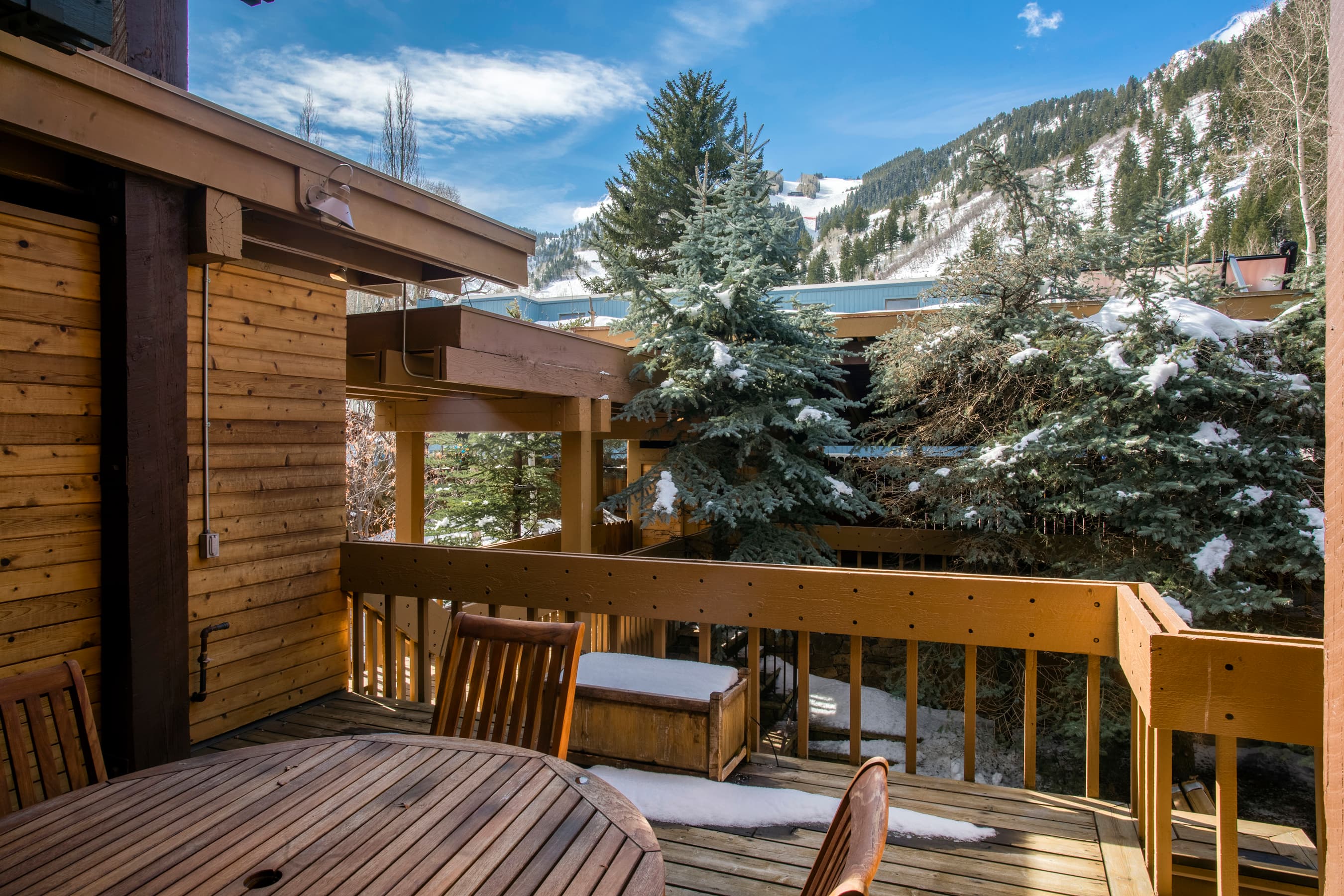 237 W Hopkins Avenue, Aspen, CO 81611 - Photo 20