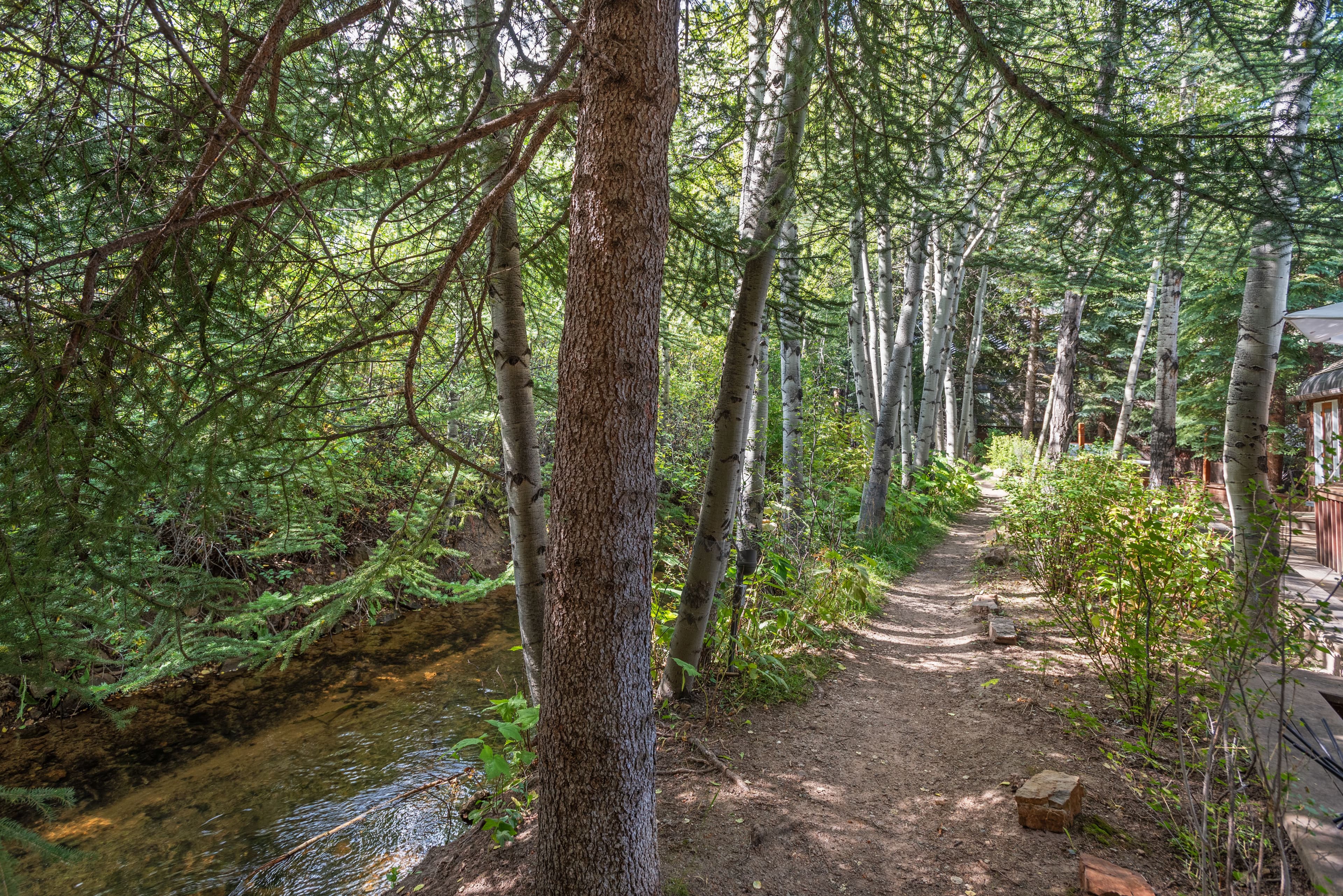 66 Alpine Court, Aspen, CO 81611 - Photo 38