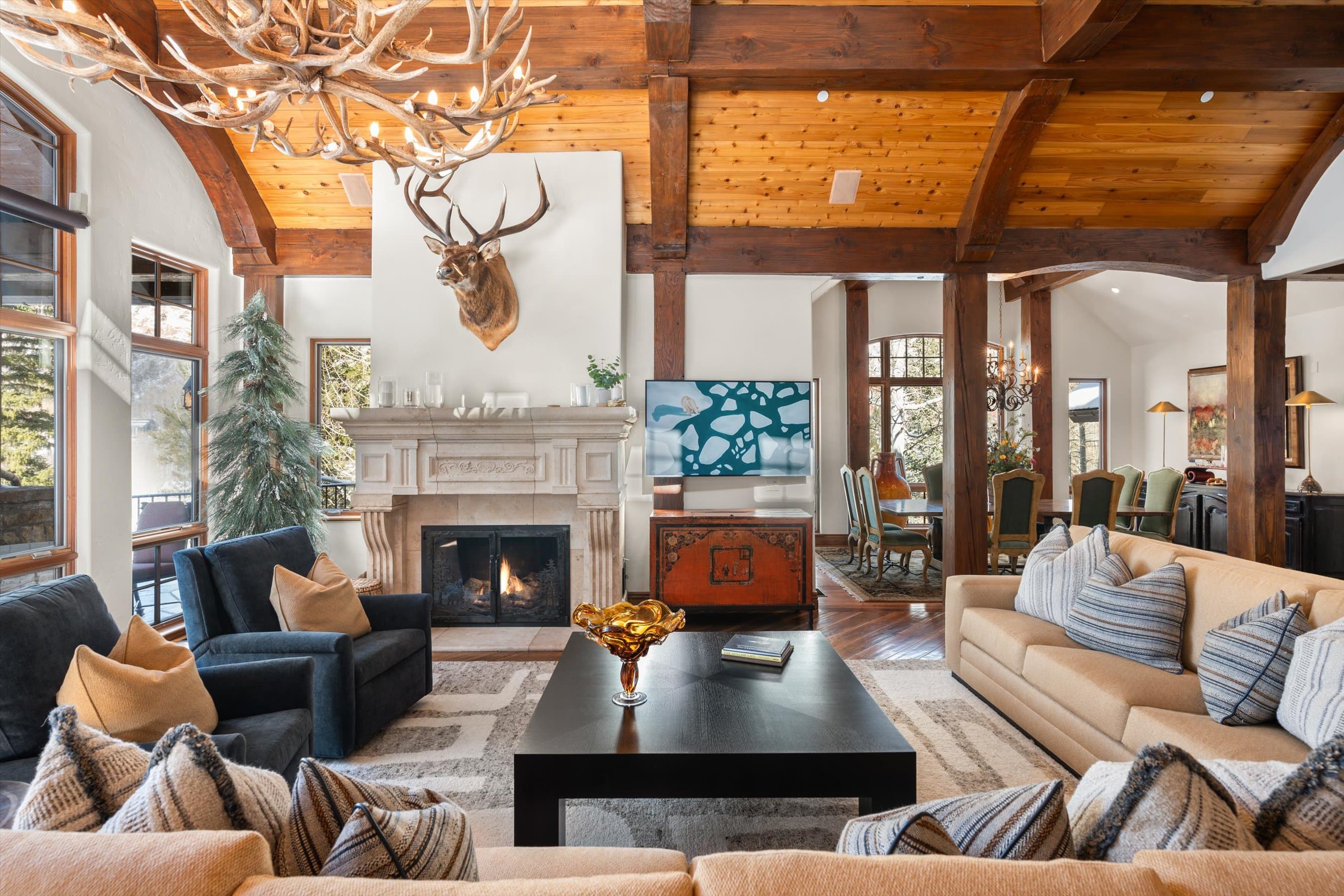 180 Exhibition Lane, Aspen, CO 81611 - Photo 24