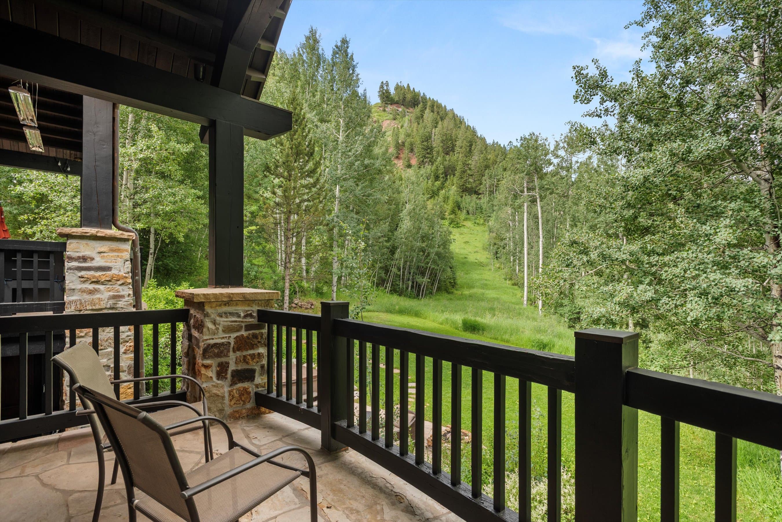 289 Exhibition Lane, Aspen, CO 81611 - Photo 25