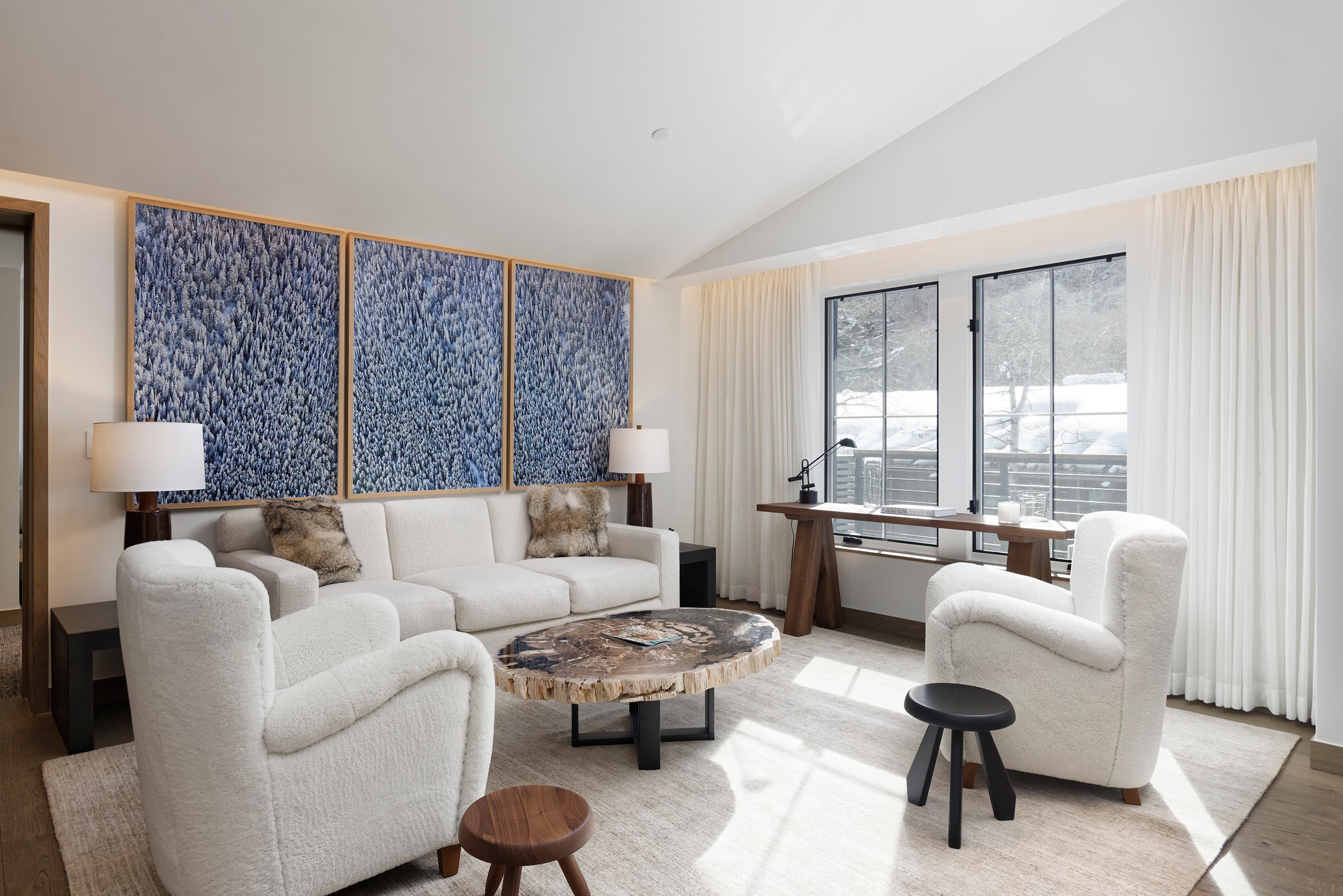550 S Spring Street 392, Aspen, CO 81611 - Photo 37