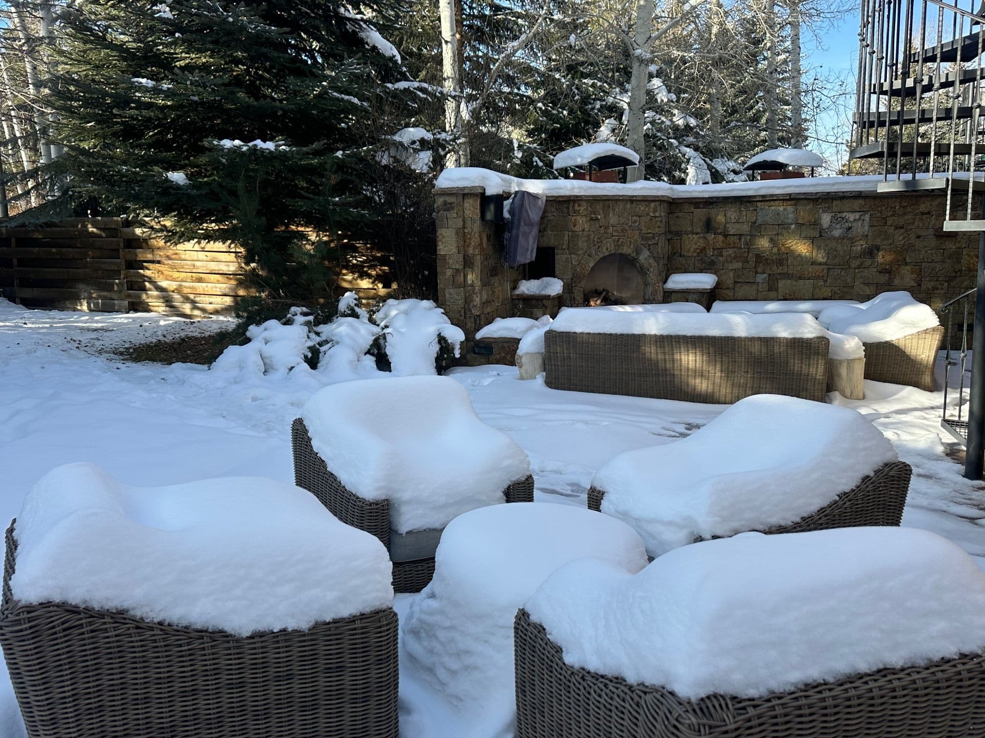1395 Snowbunny Lane, Aspen, CO 81611 - Photo 5