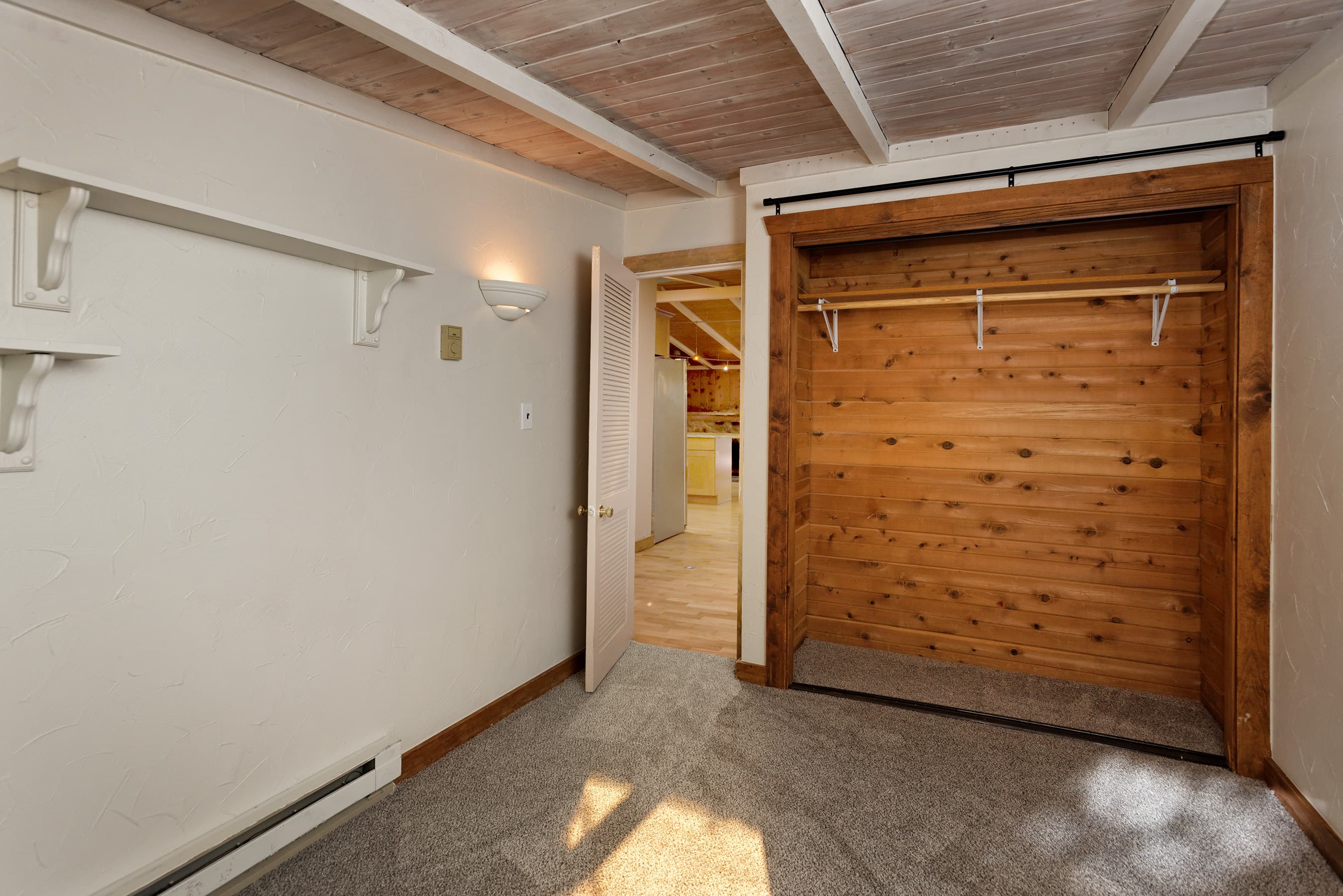311 Midland Avenue, Aspen, CO 81611 - Photo 29