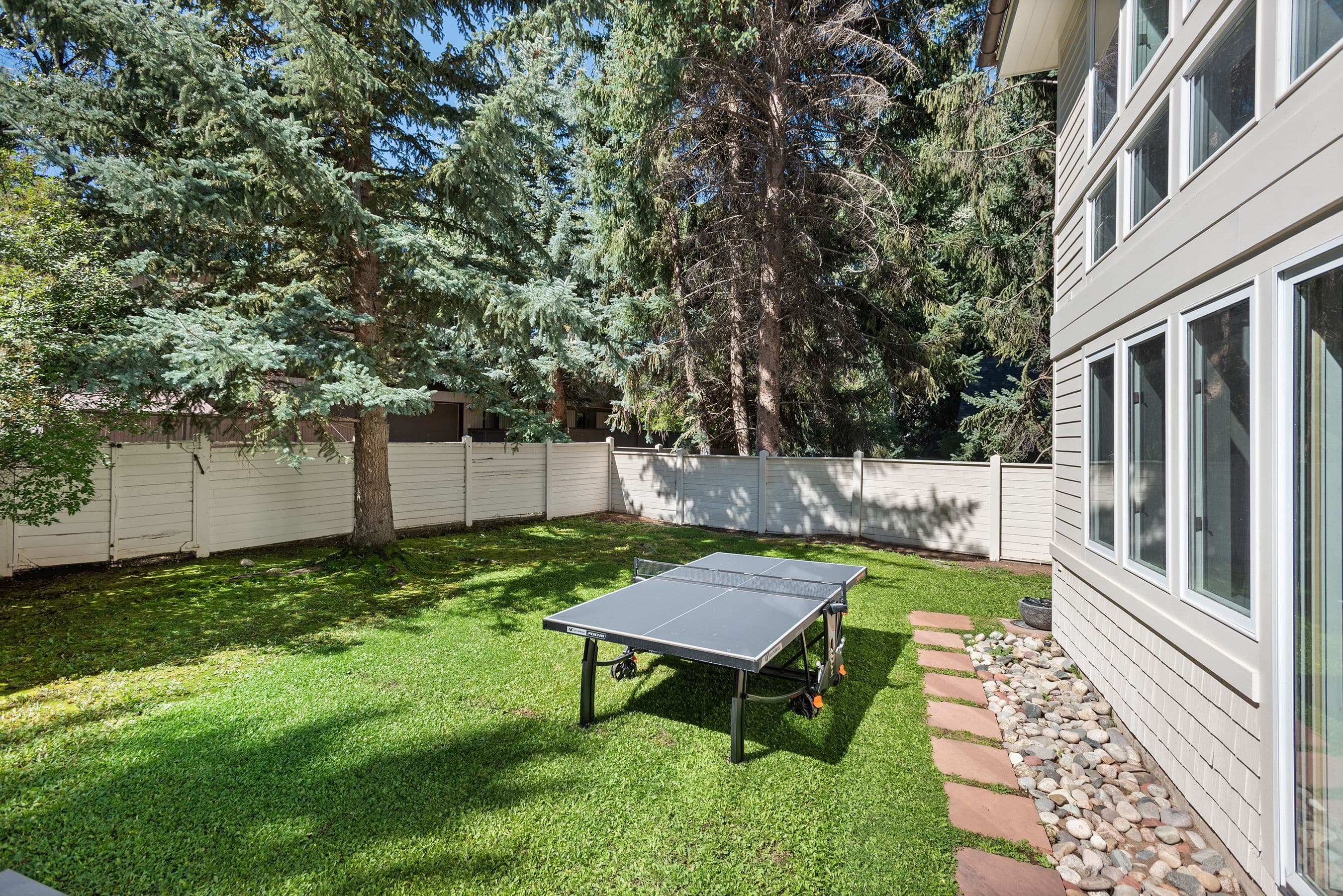 517 W North Street, Aspen, CO 81611 - Photo 12
