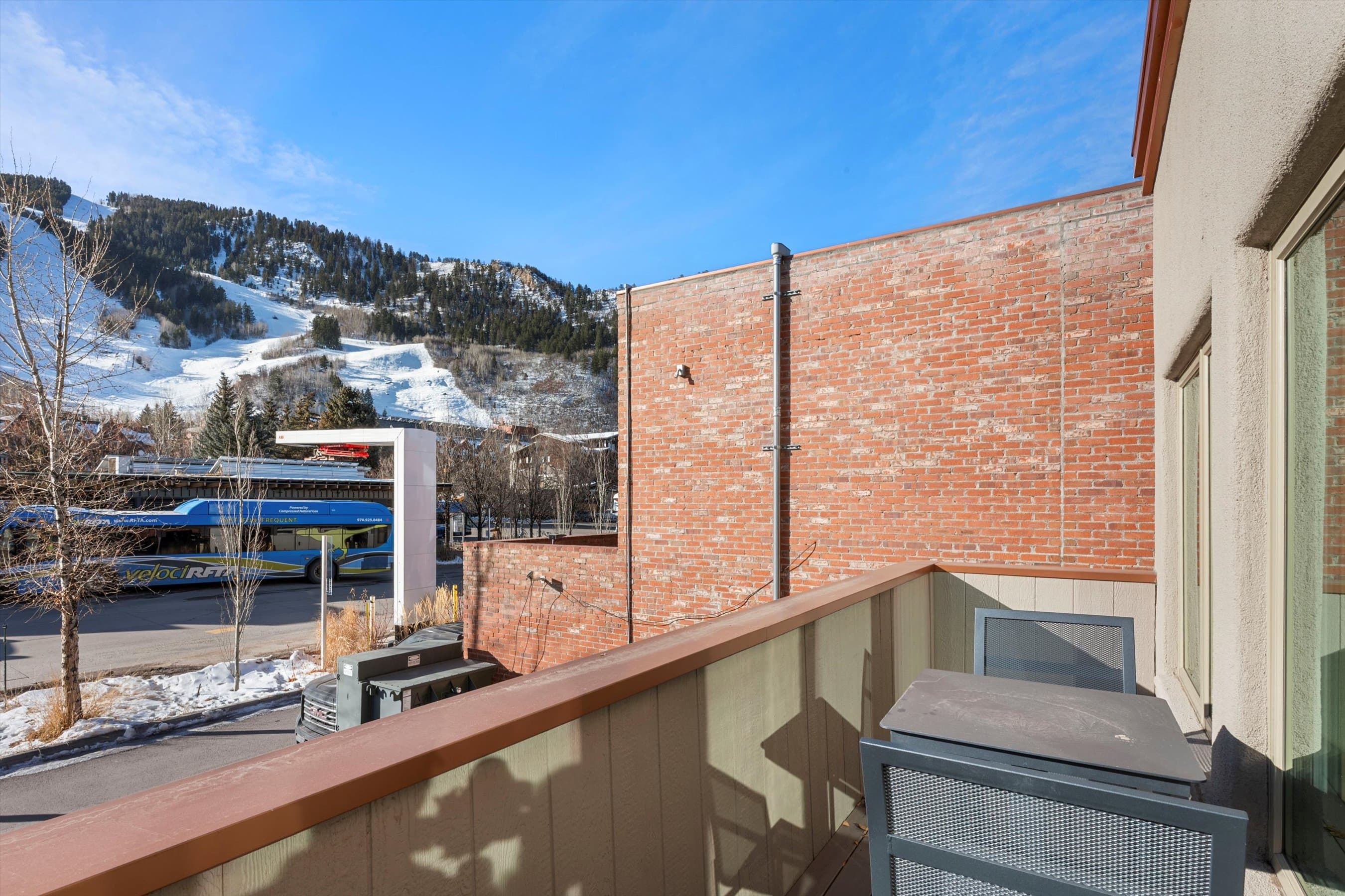 447 E Cooper Avenue 1, Aspen, CO 81611 - Photo 39