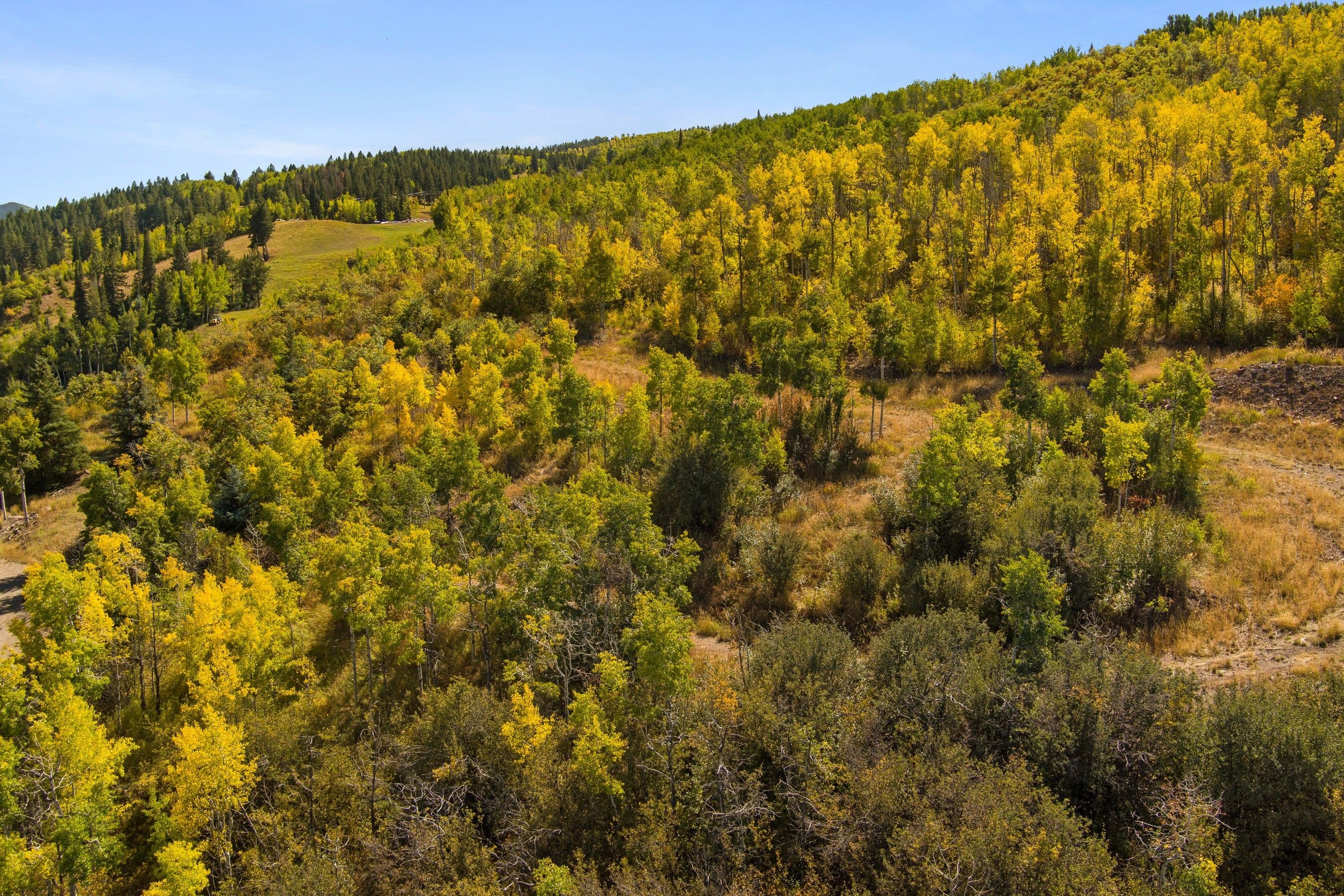 240 Buttermilk Lane, Aspen, CO 81611 - Photo 25