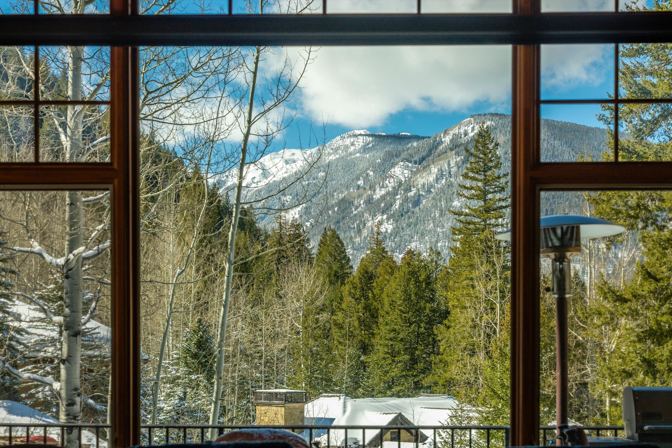 180 Exhibition Lane, Aspen, CO 81611 - Photo 10
