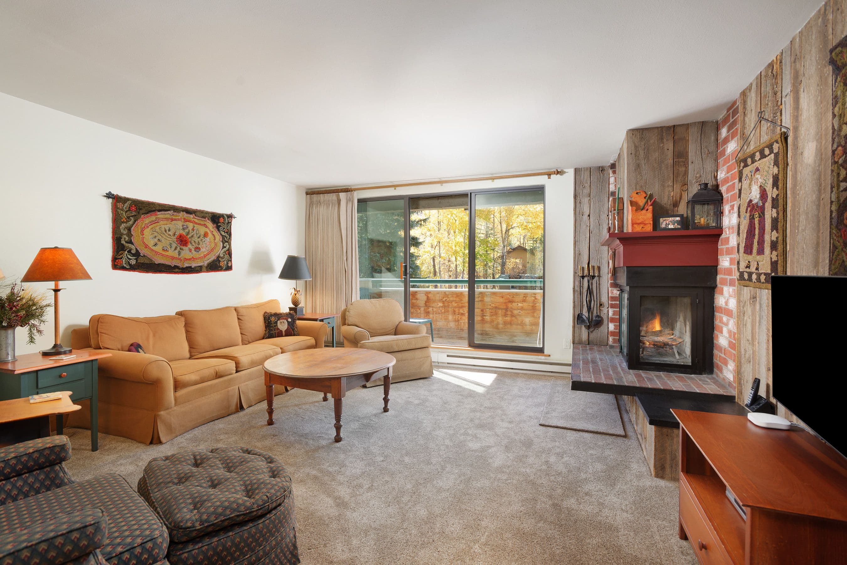 1024 E Hopkins Avenue 12, Aspen, CO 81611 - Photo 1