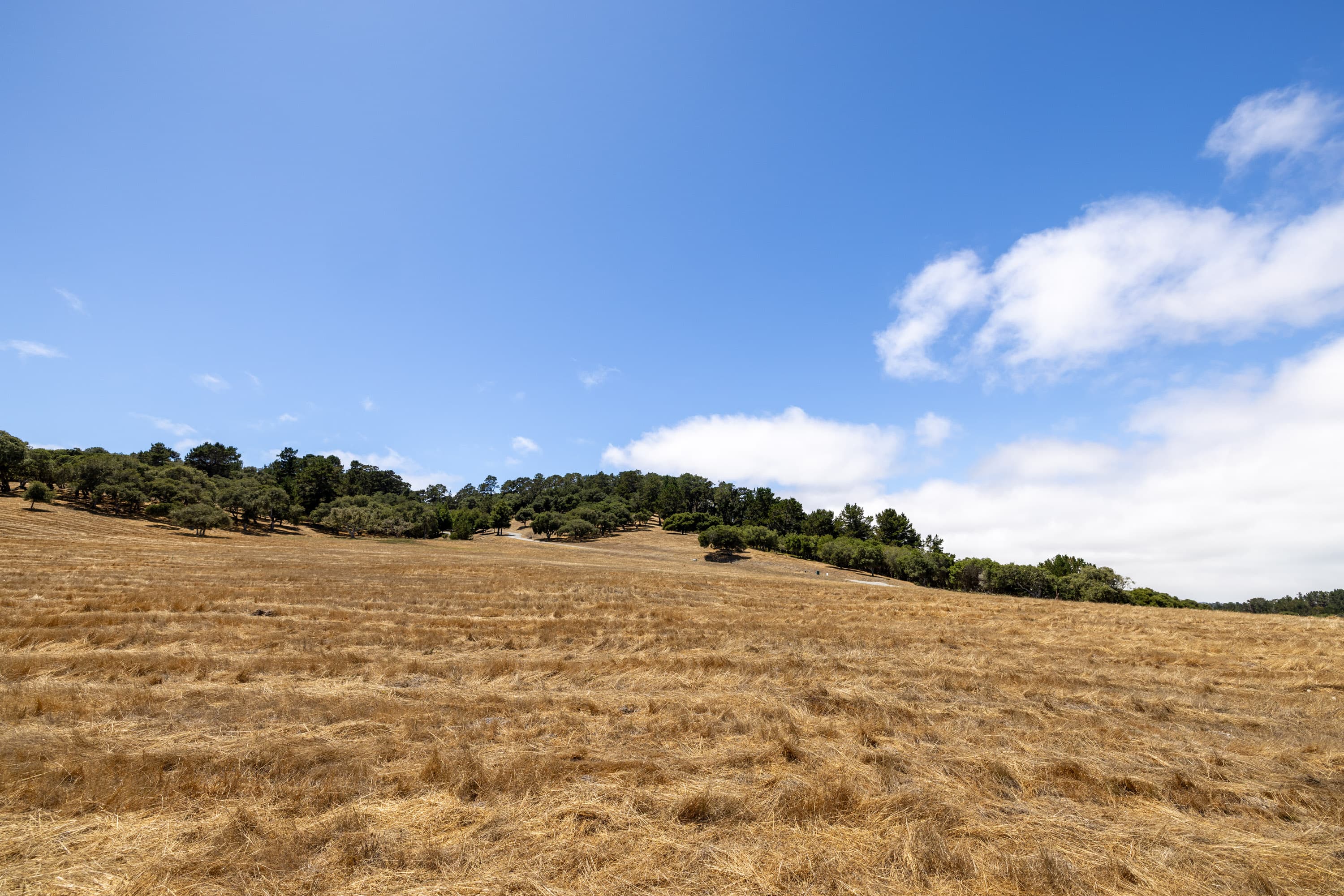 24545 Via Malpaso (Lot 94) - Photo 10