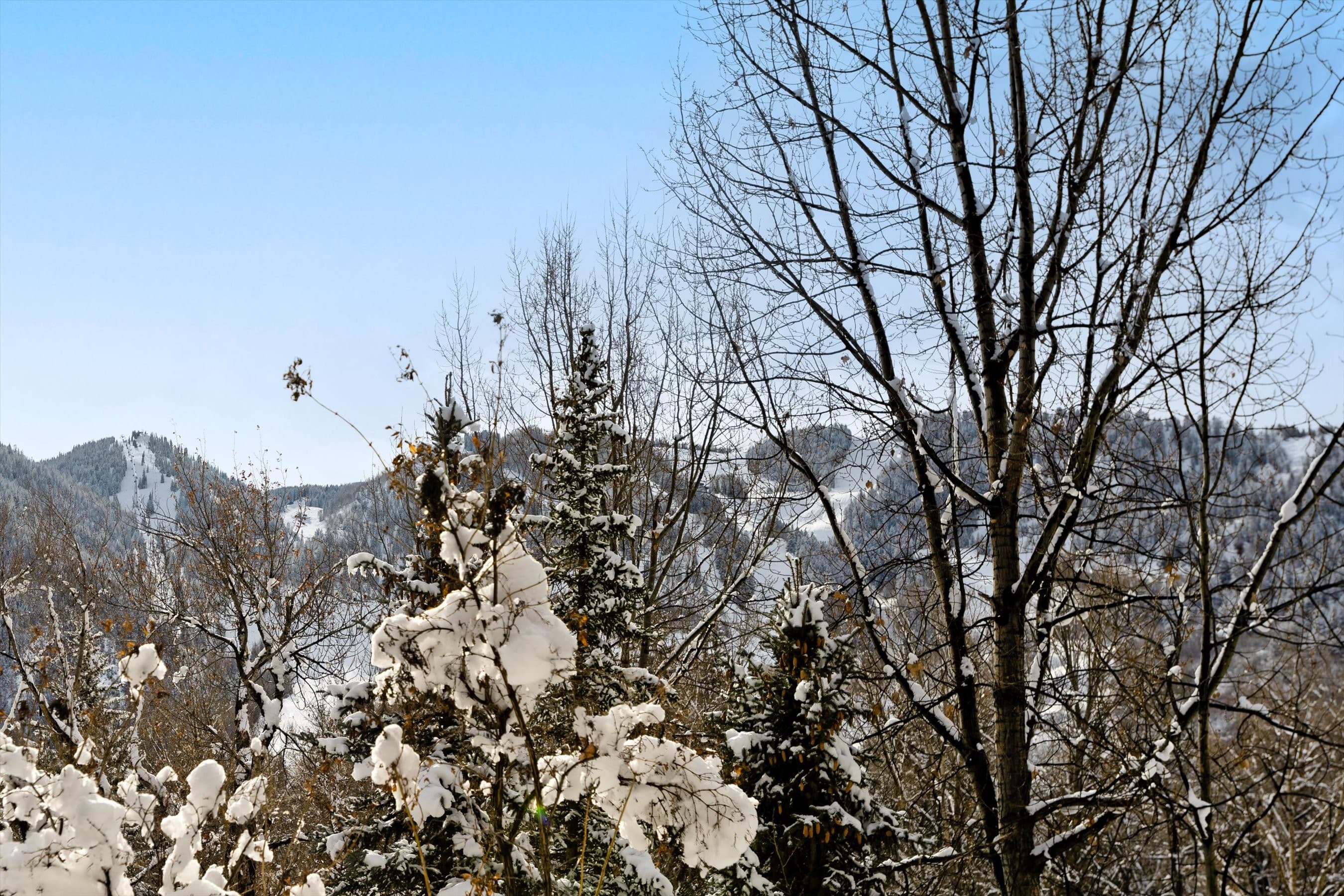 155 Lone Pine Road River Bluff #2, Aspen, CO 81611 - Photo 8