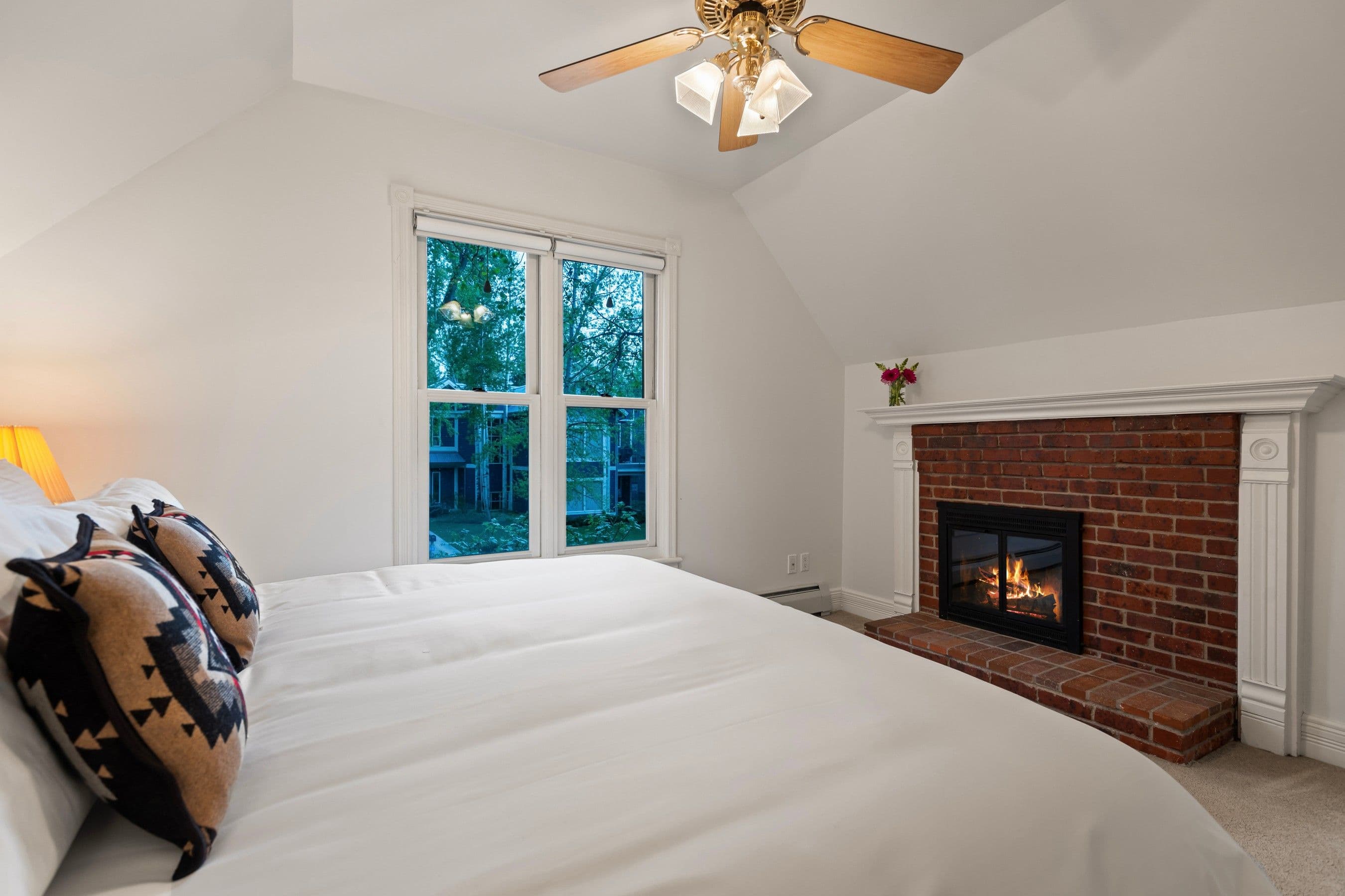 716 & 718 W Hallam Street, Aspen, CO 81611 - Photo 3