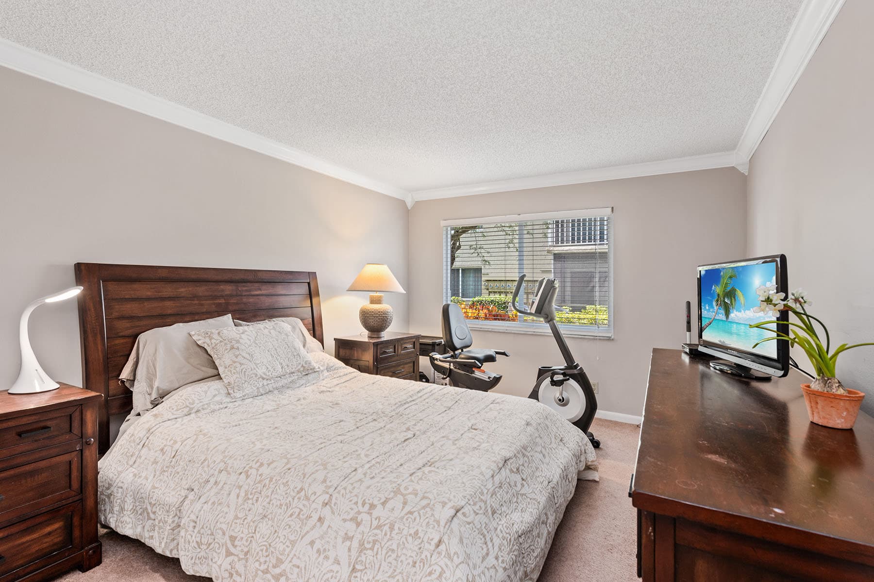 272 Palm Drive  - Photo 4