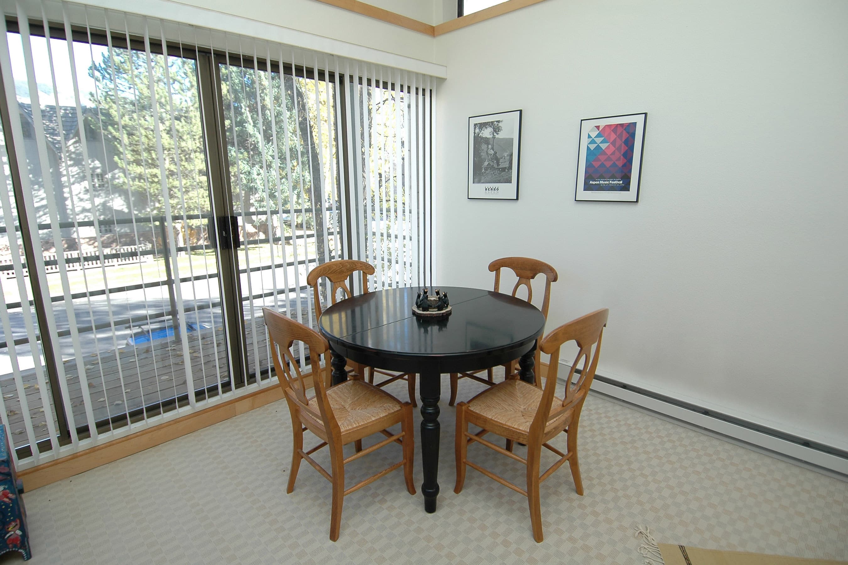 311 S Aspen Street Unit 6, Aspen, CO 81611 - Photo 7