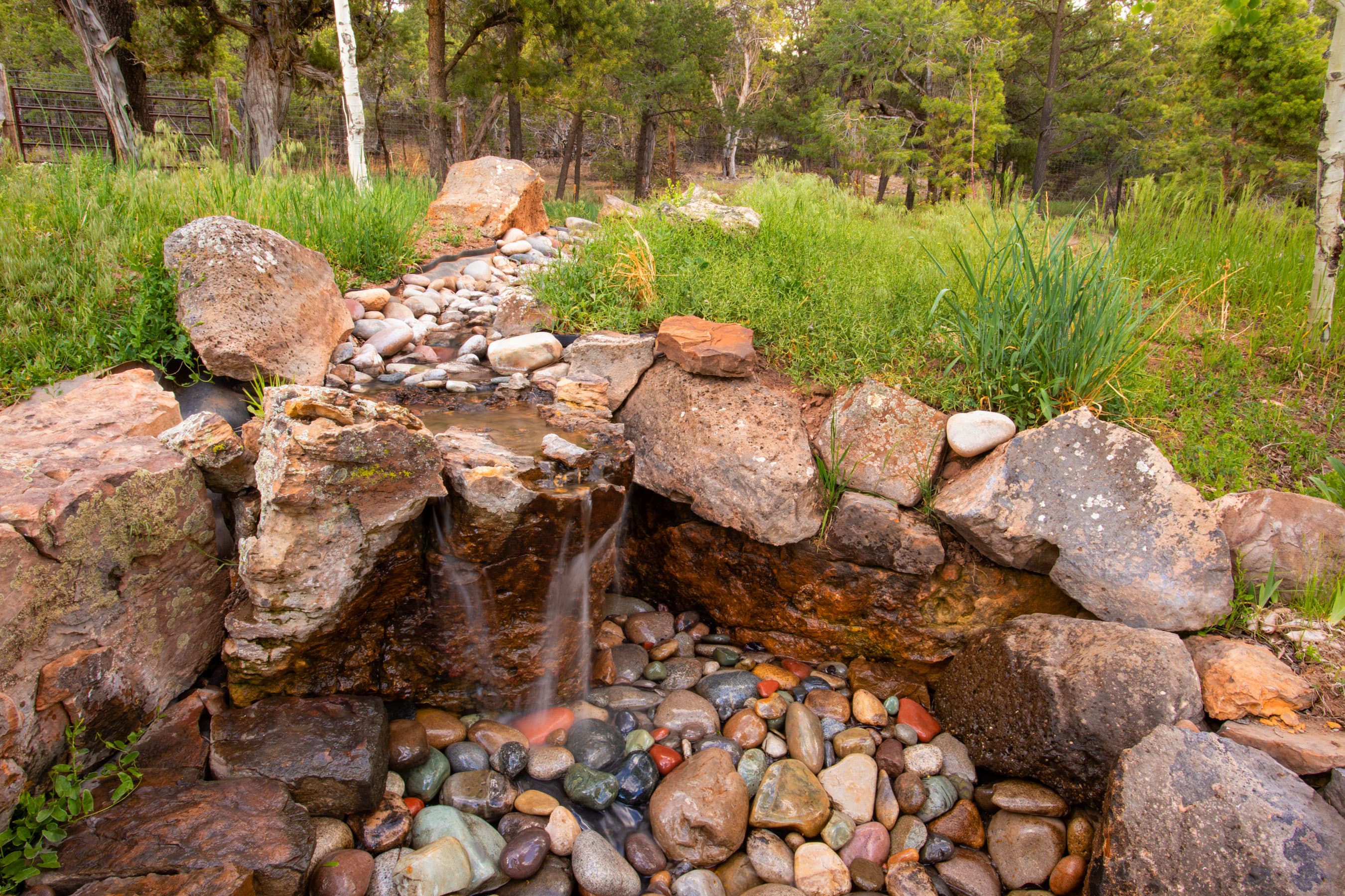 665 Callicotte Ranch Drive, Carbondale, CO 81623 - Photo 24