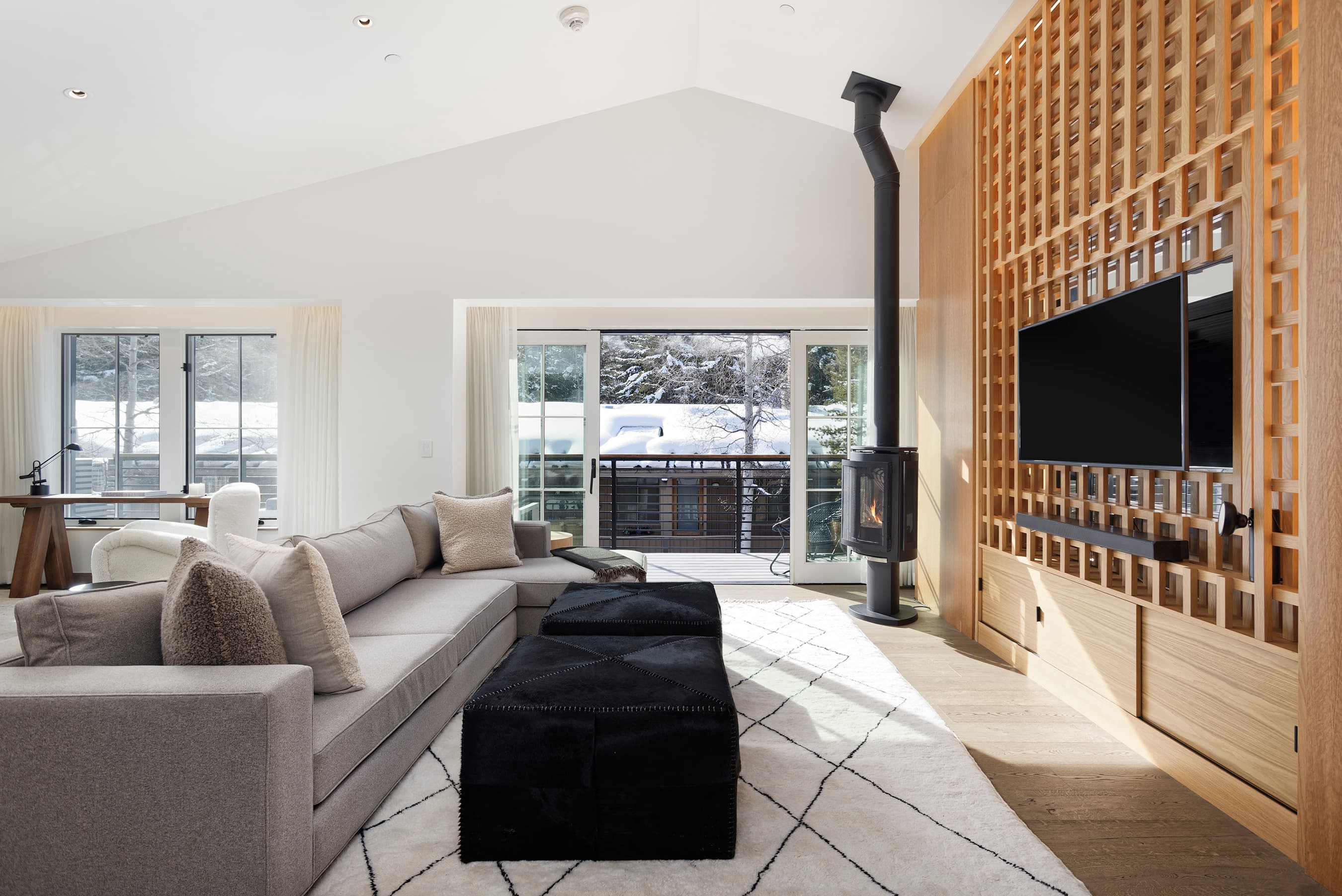 550 S Spring Street 392, Aspen, CO 81611 - Photo 10