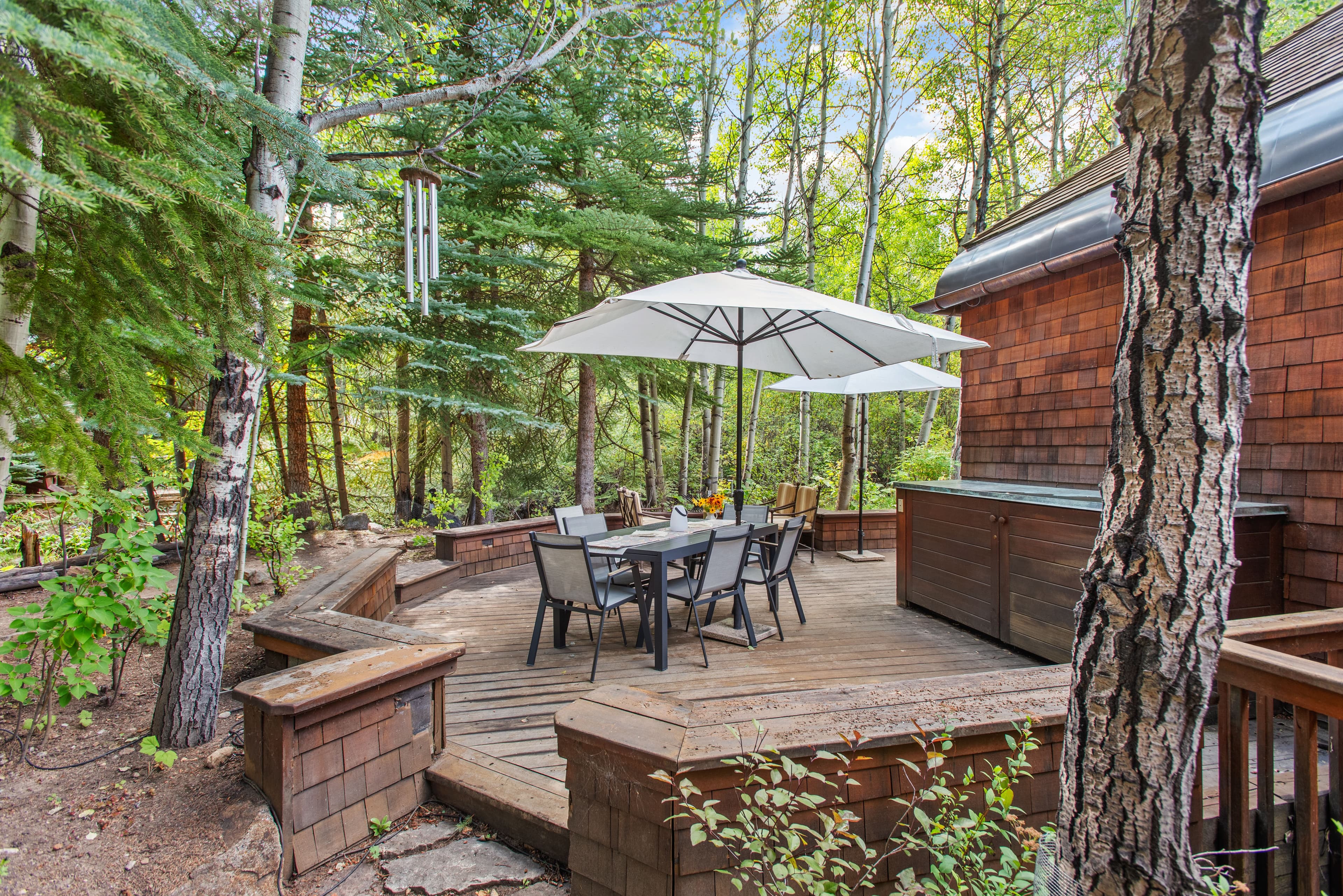 66 Alpine Court, Aspen, CO 81611 - Photo 28