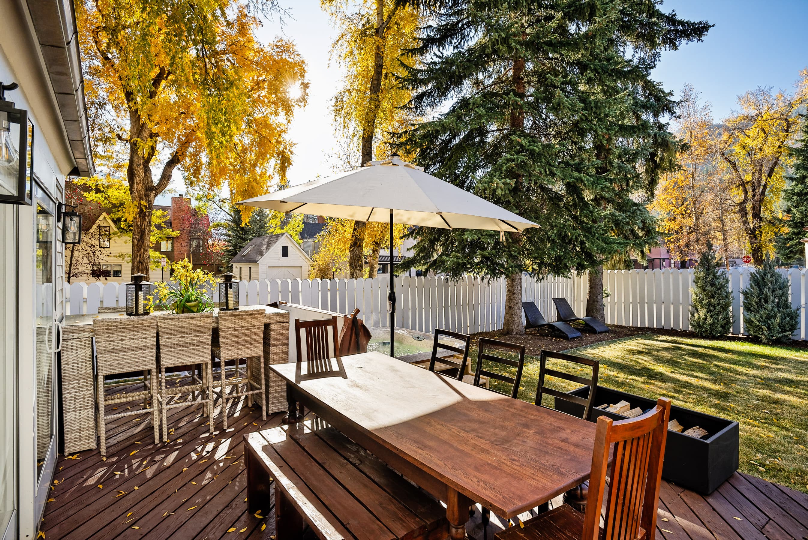 401 W Bleeker Street, Aspen, CO 81611 - Photo 10