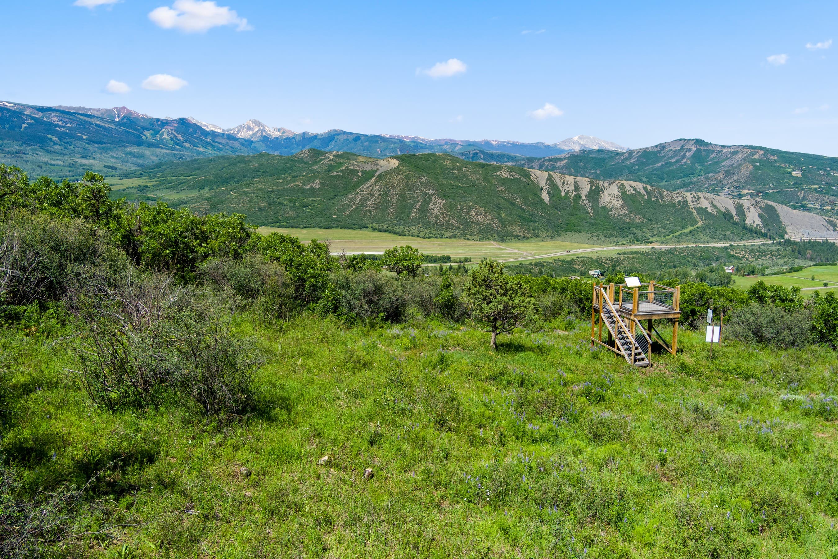 TBD Trentaz Drive, Aspen, CO 81611 - Photo 37